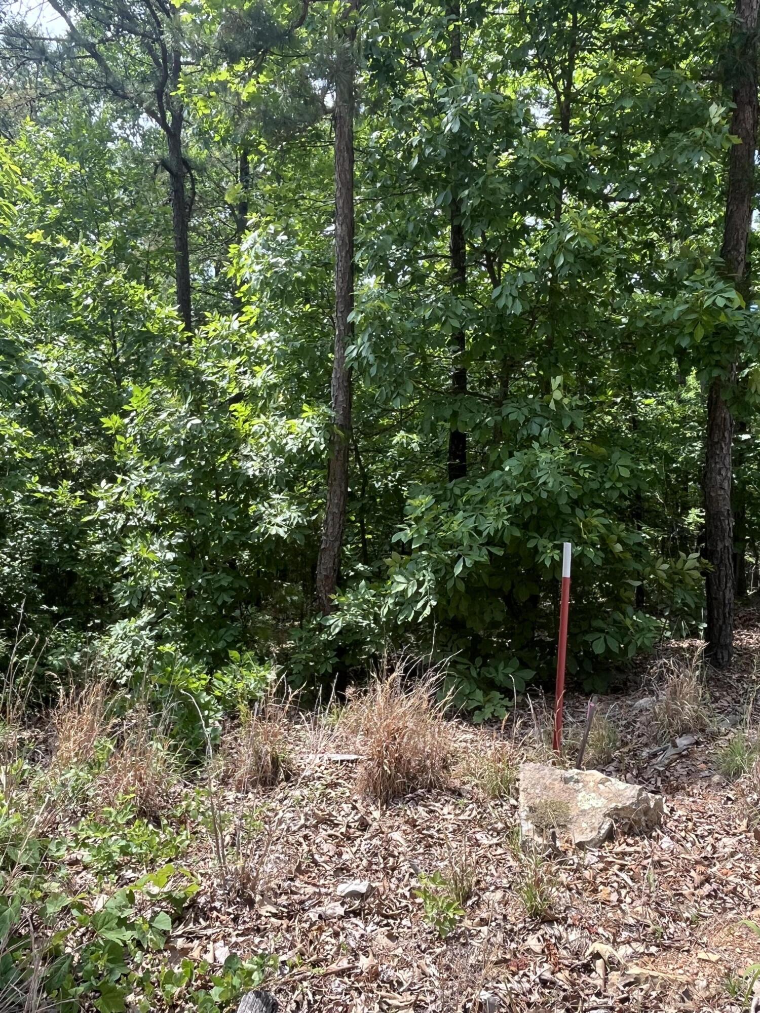 000 County Road C-228 Property Photo 4