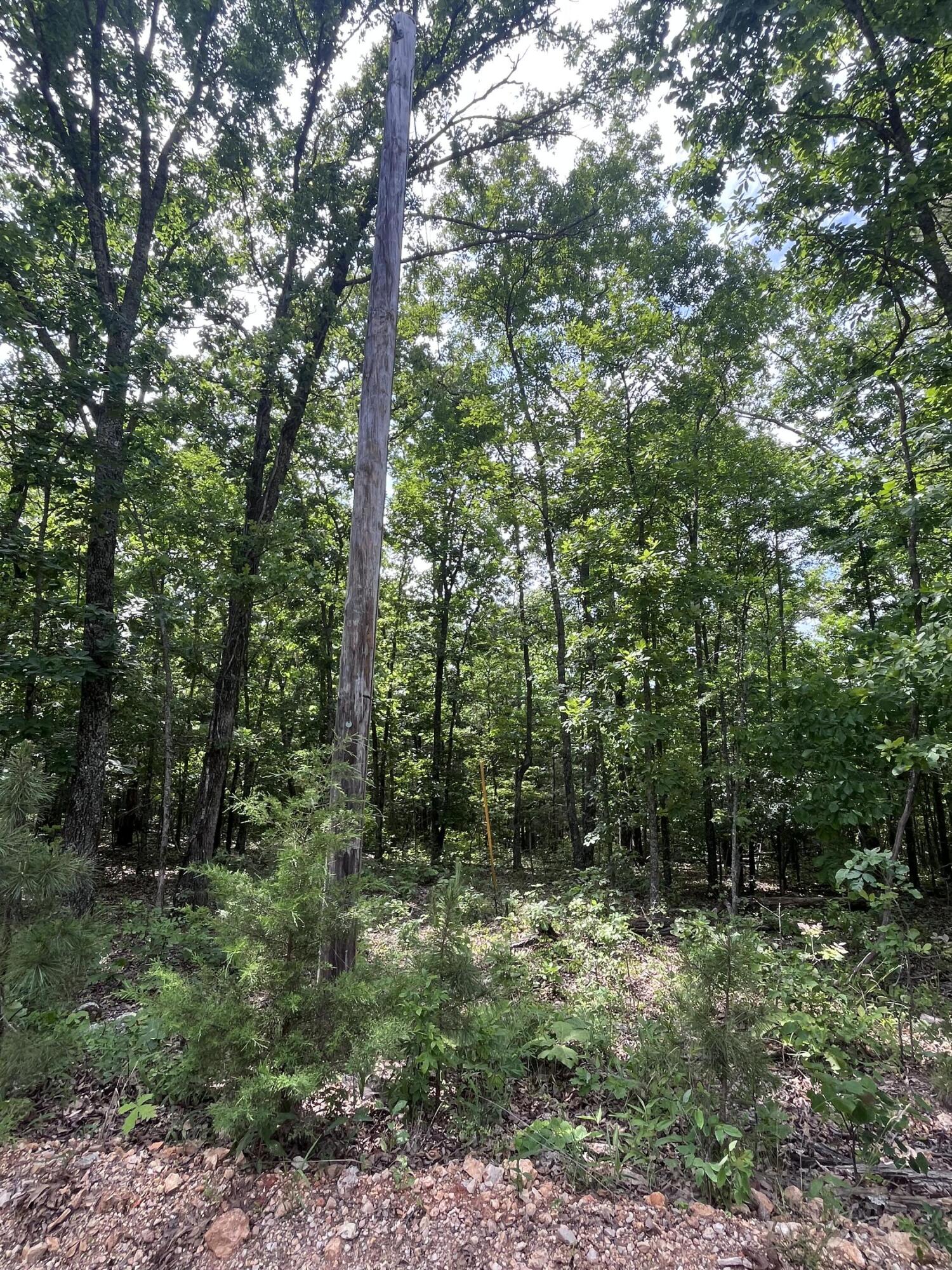 000 County Road C-228 Property Photo 5