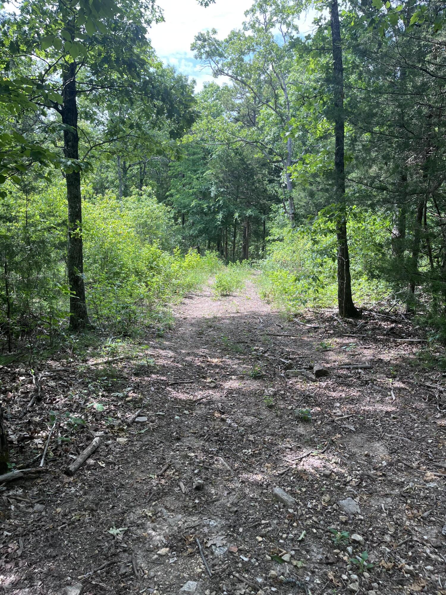 000 County Road C-228 Property Photo 6