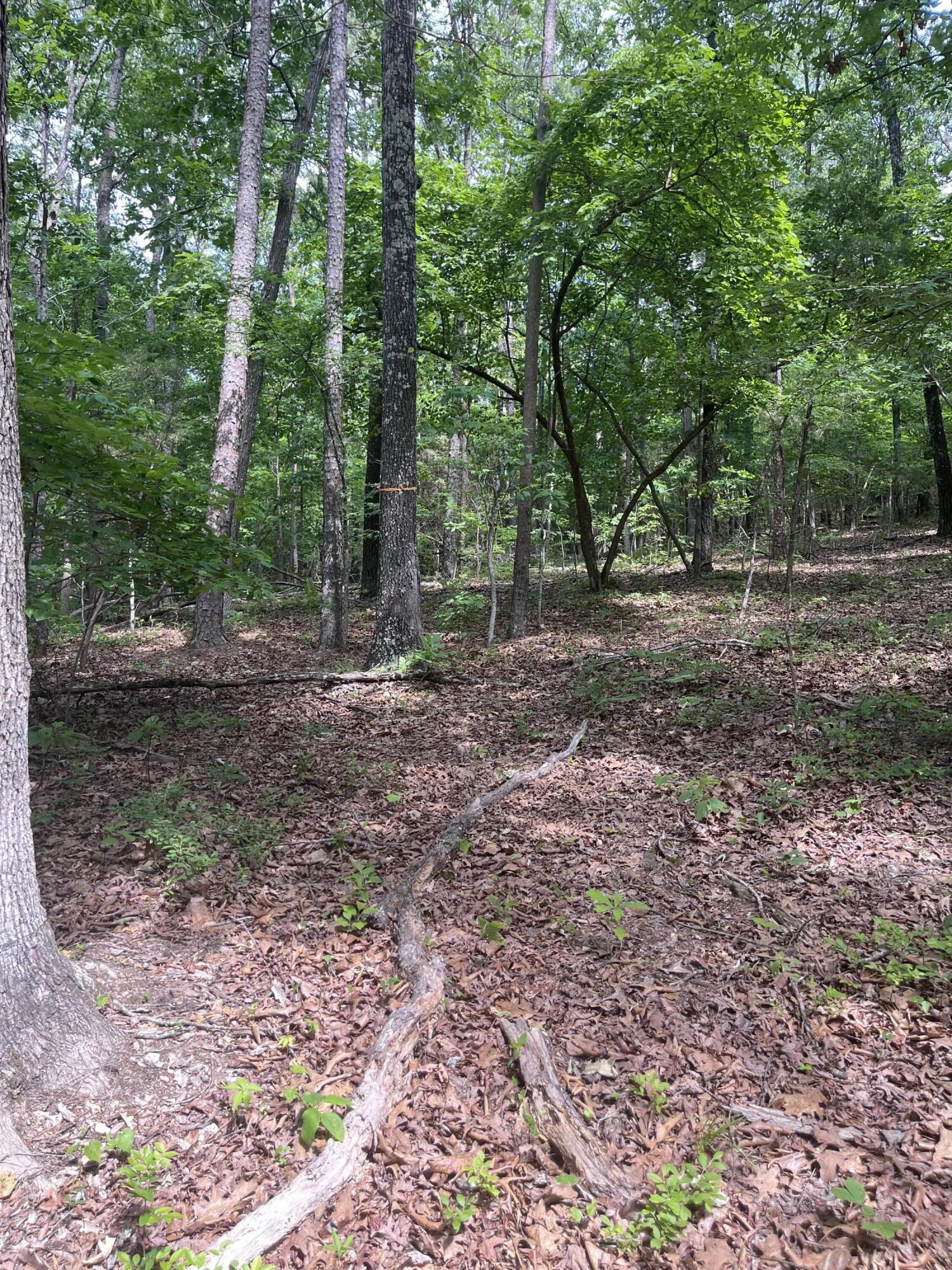 000 County Road C-228 Property Photo 9