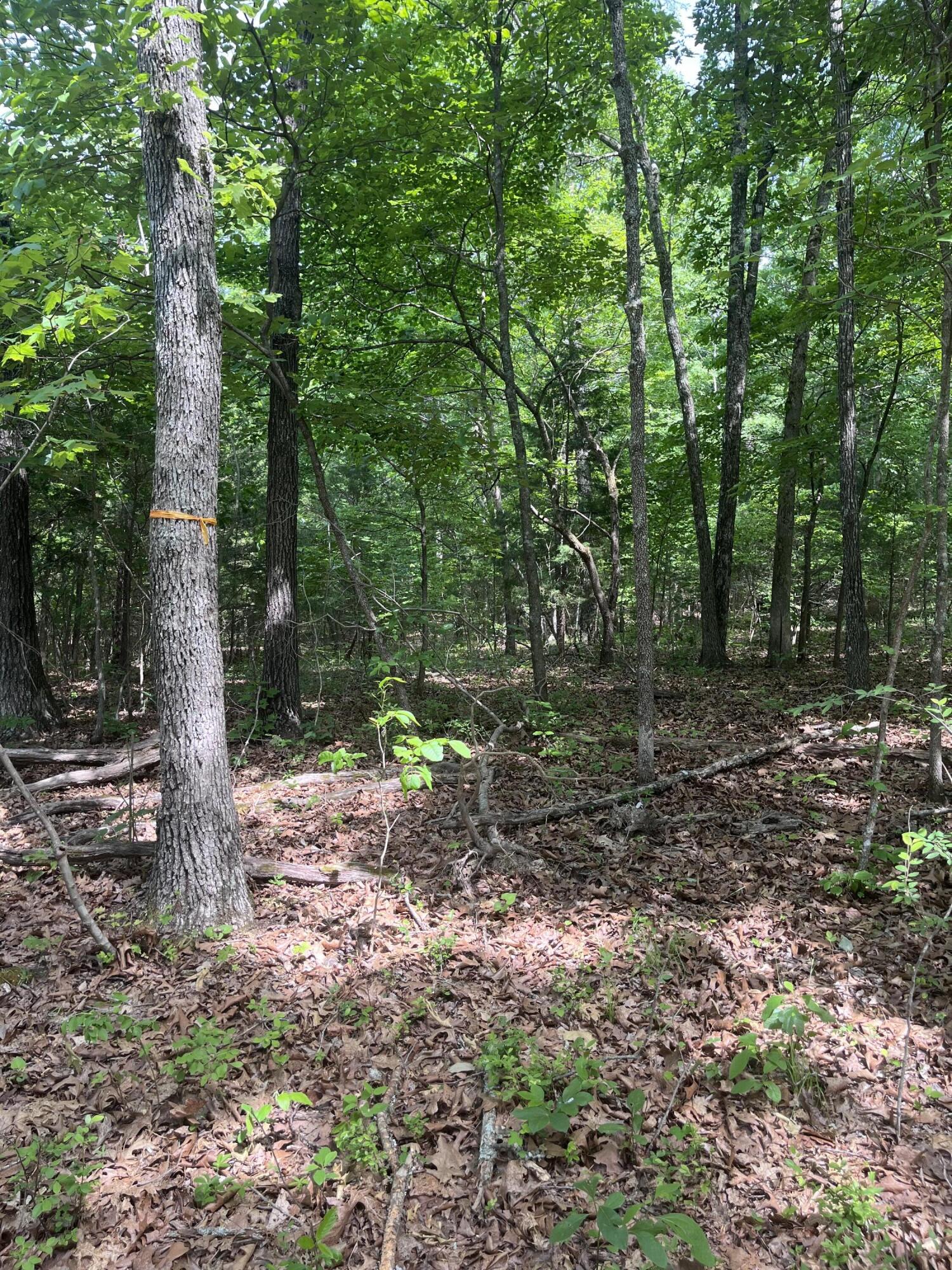 000 County Road C-228 Property Photo 10