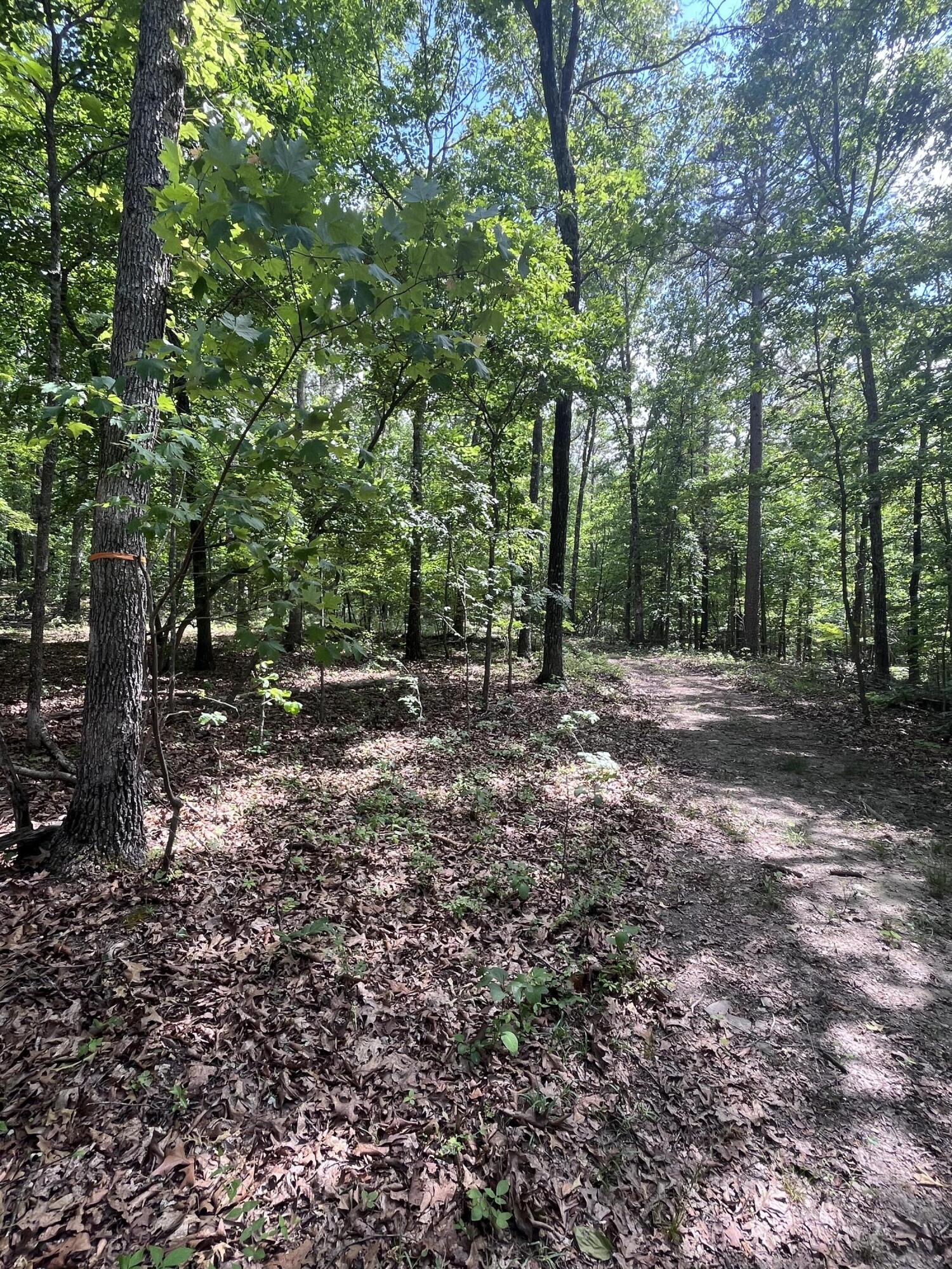 000 County Road C-228 Property Photo 11