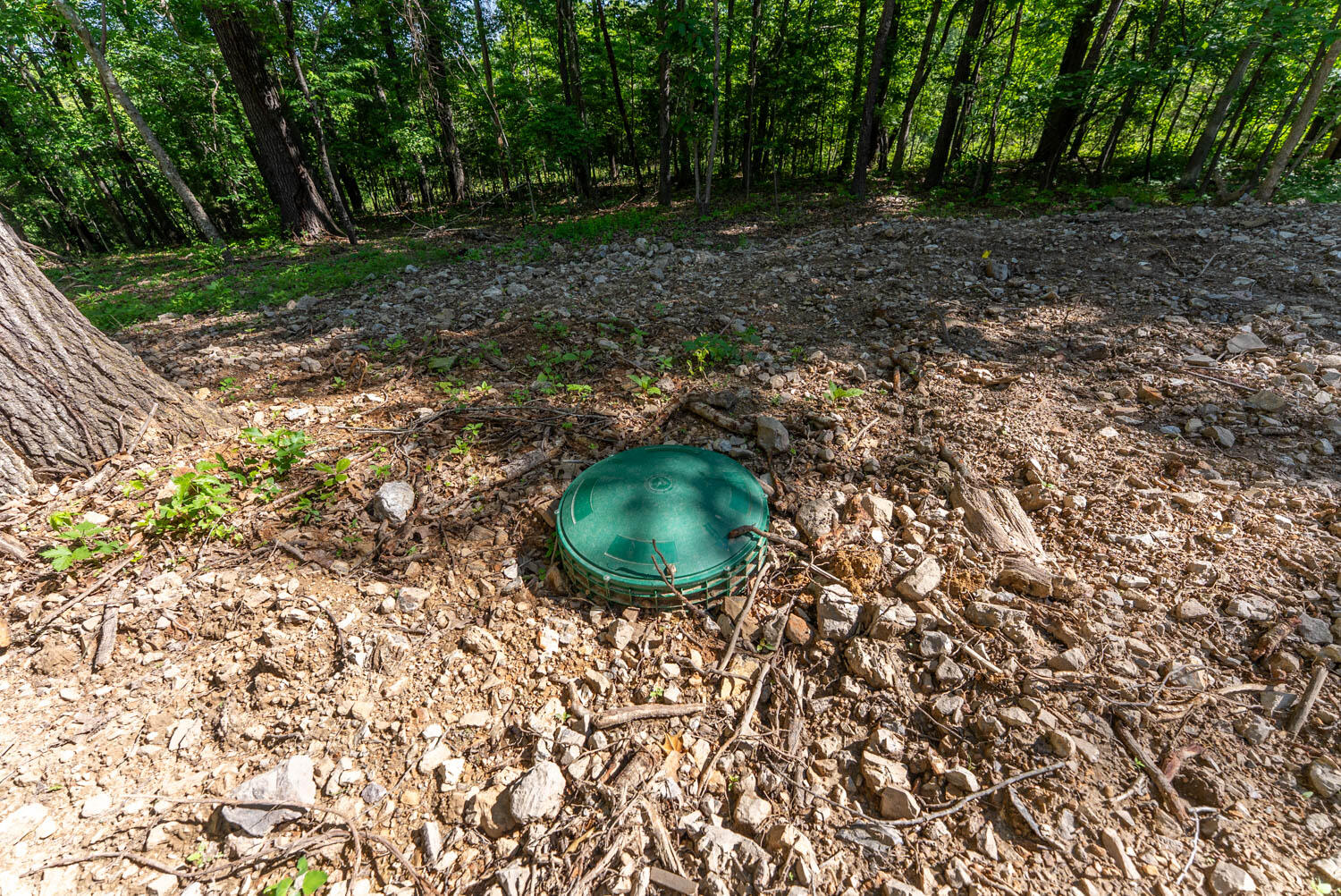 910 Marion County 7097 Property Photo 12