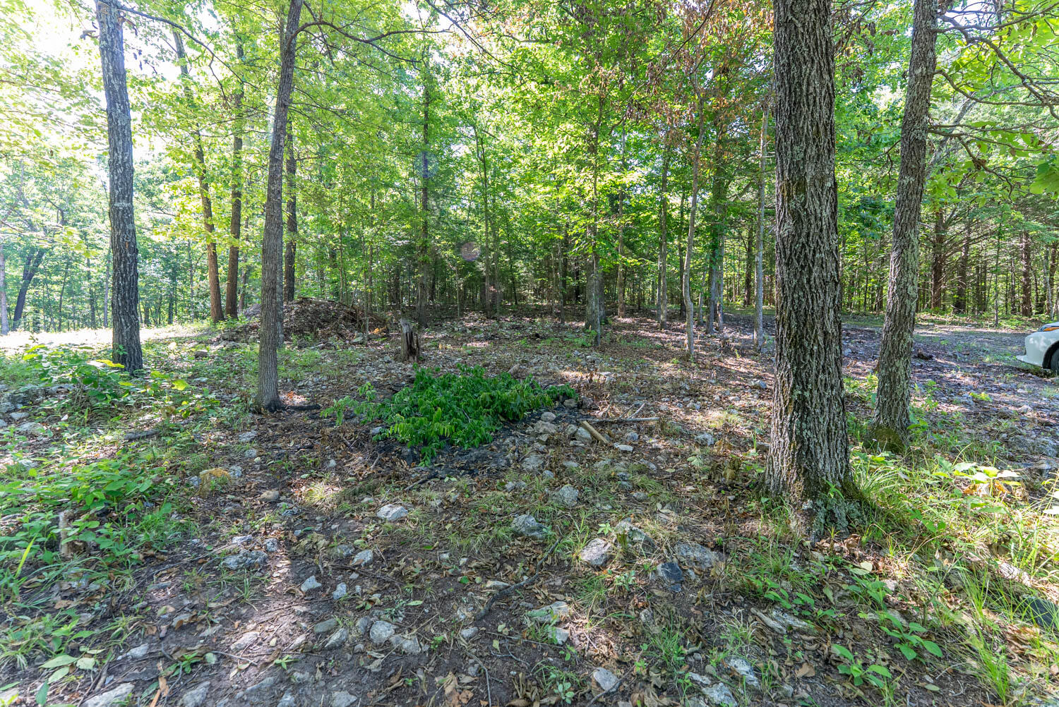 910 Marion County 7097 Property Photo 14