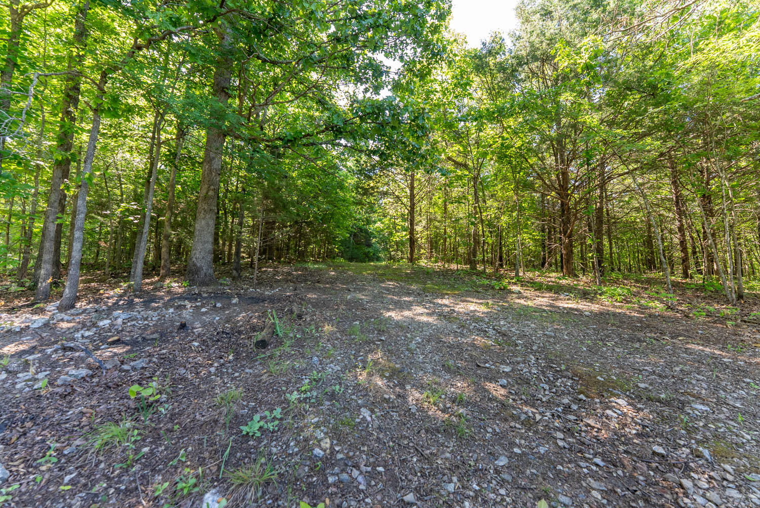 910 Marion County 7097 Property Photo 15