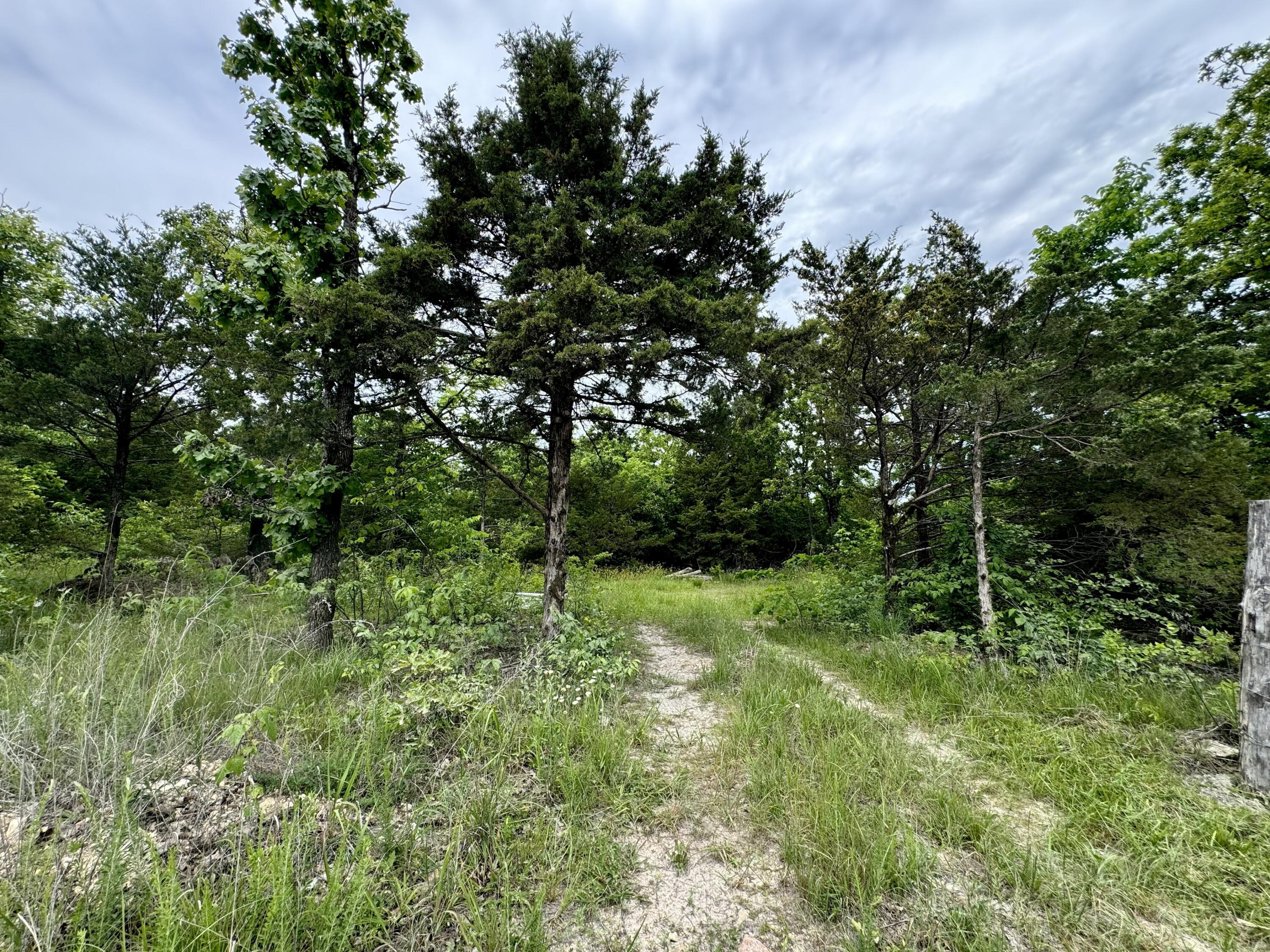 000 Cottengim Road Property Photo 1