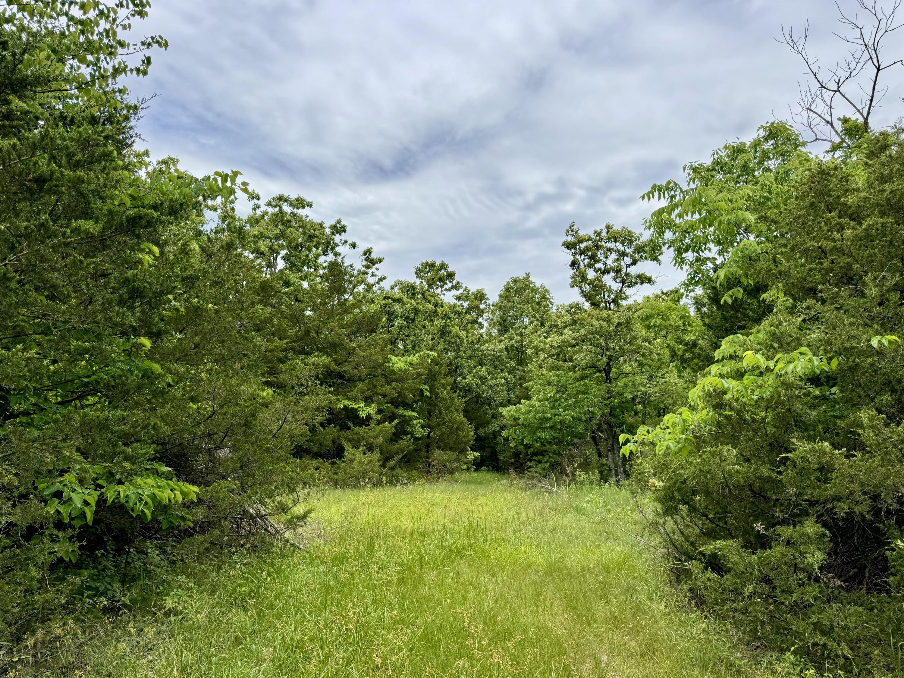 000 Cottengim Road Property Photo 2