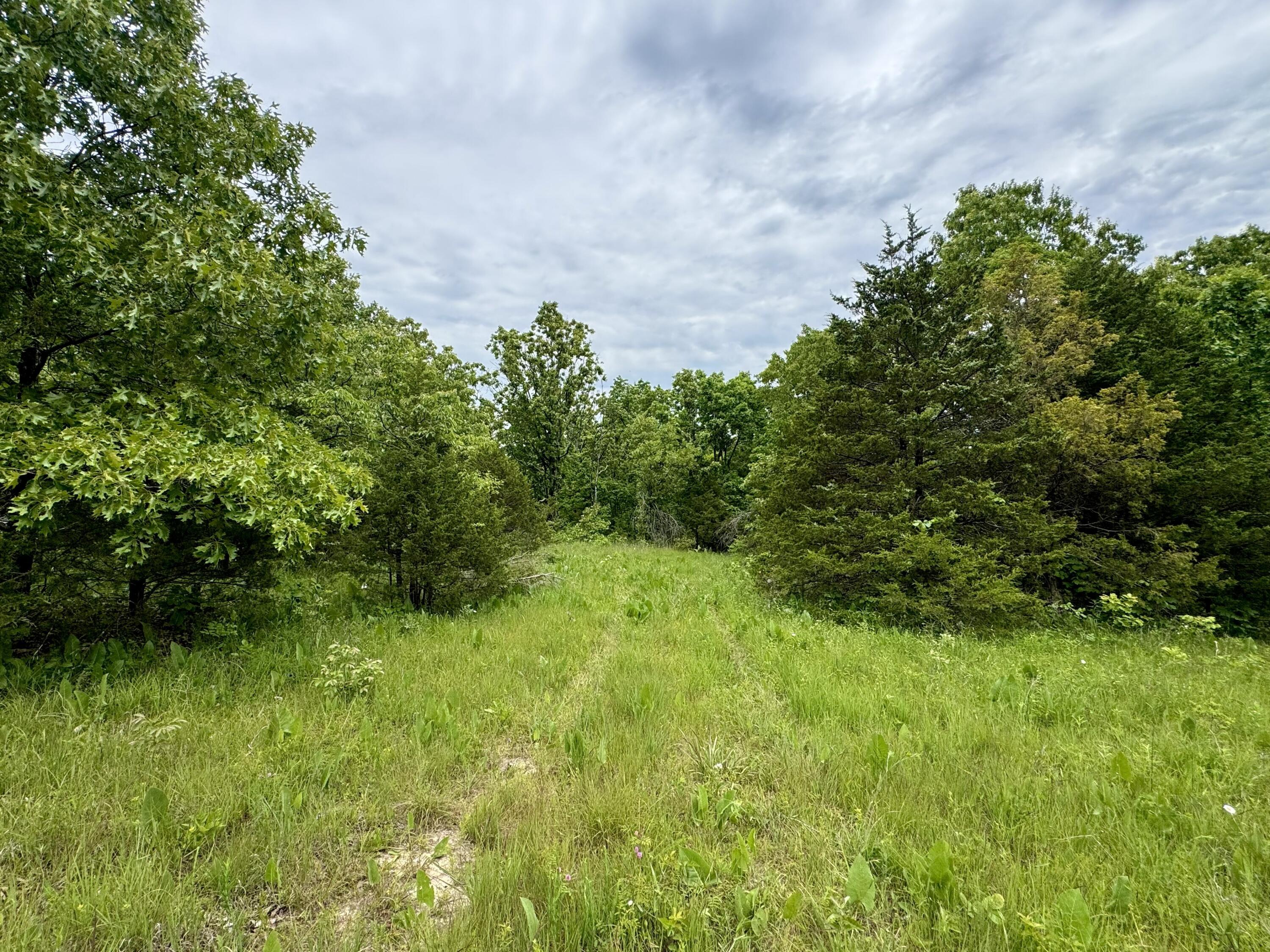 000 Cottengim Road Property Photo 3