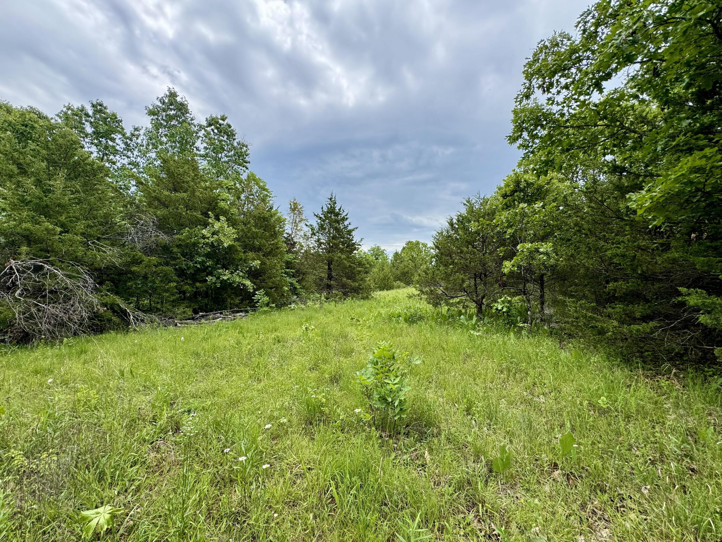 000 Cottengim Road Property Photo 6