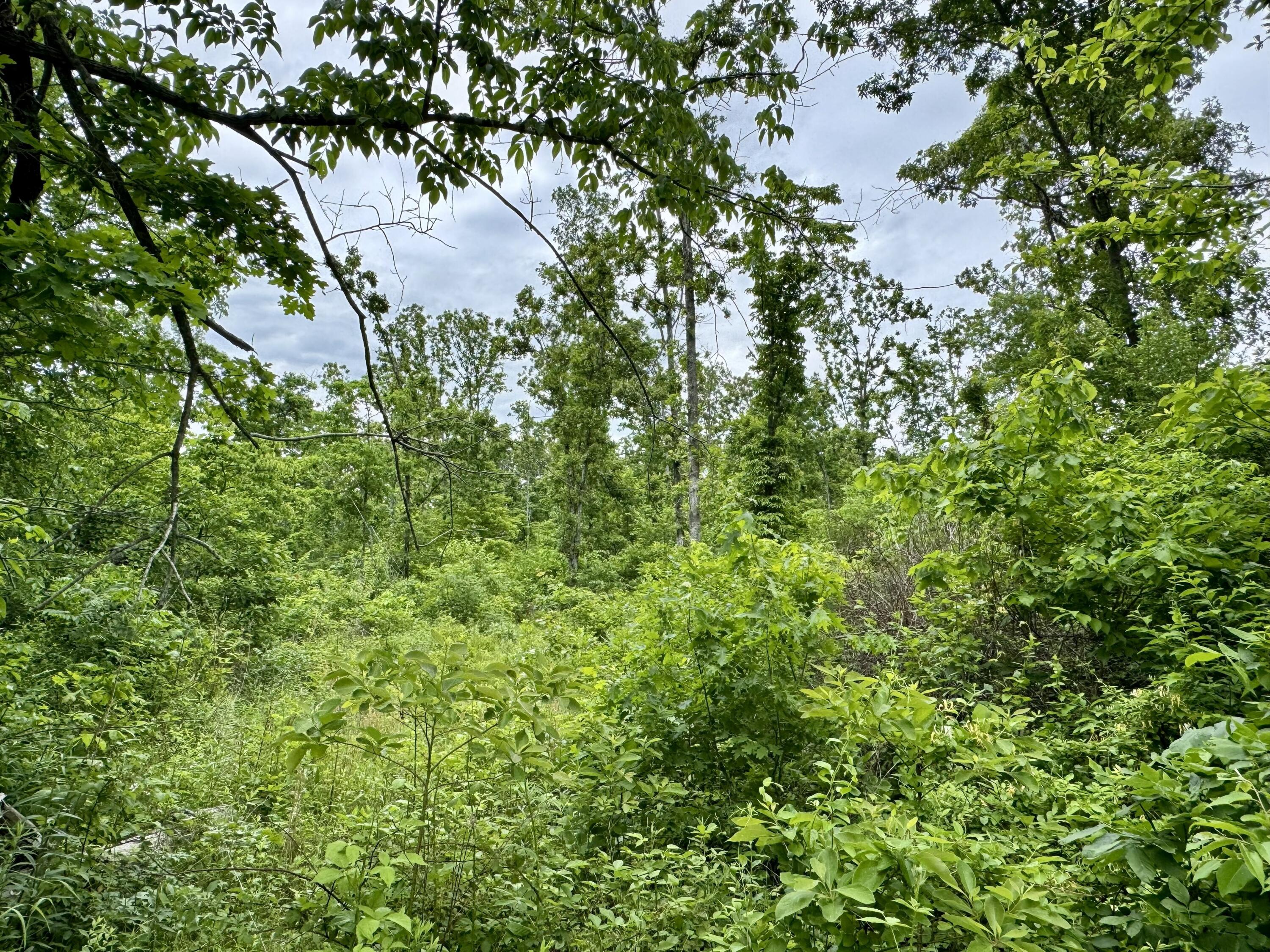 000 Cottengim Road Property Photo 12