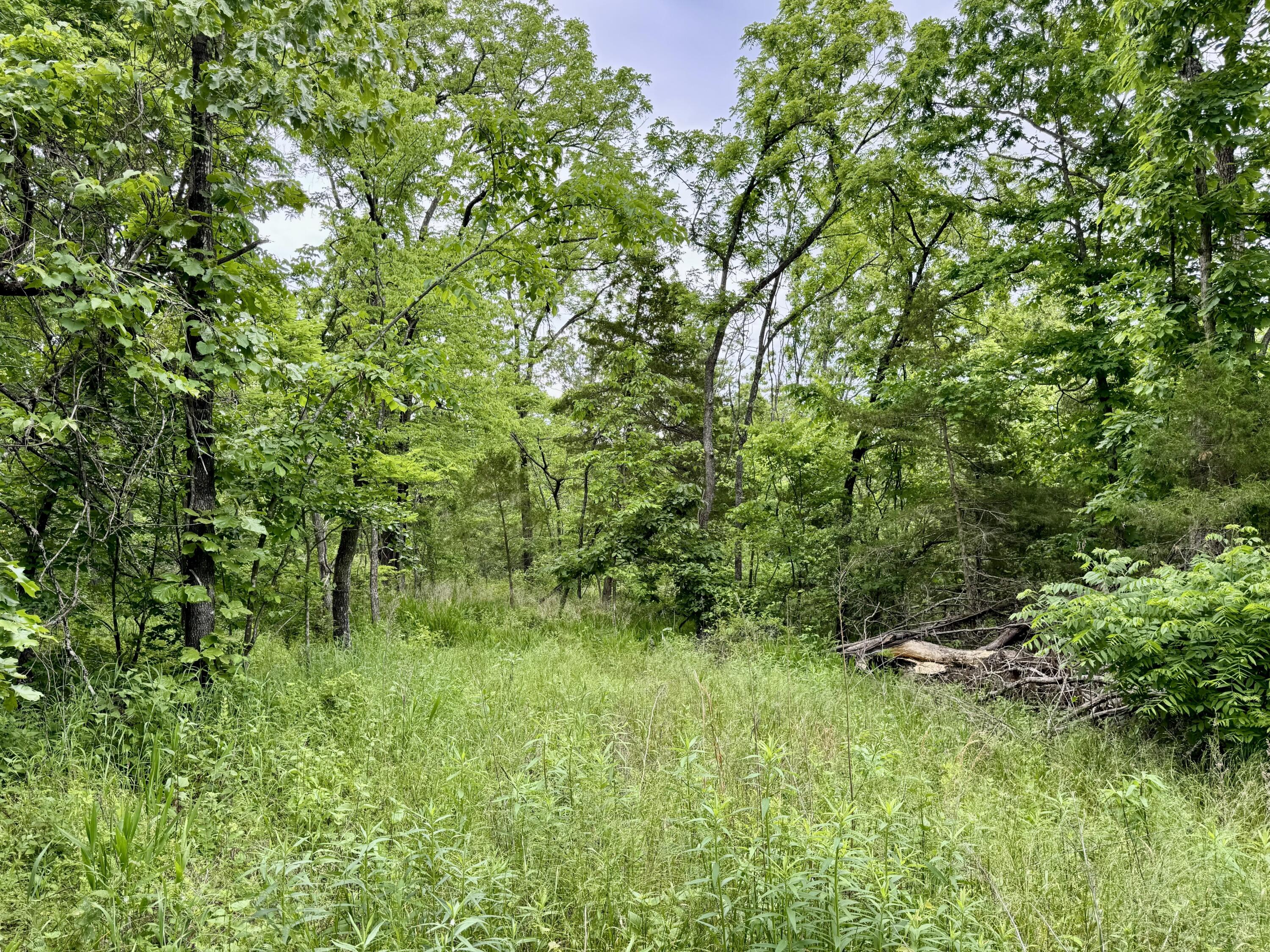 000 Cottengim Road Property Photo 13