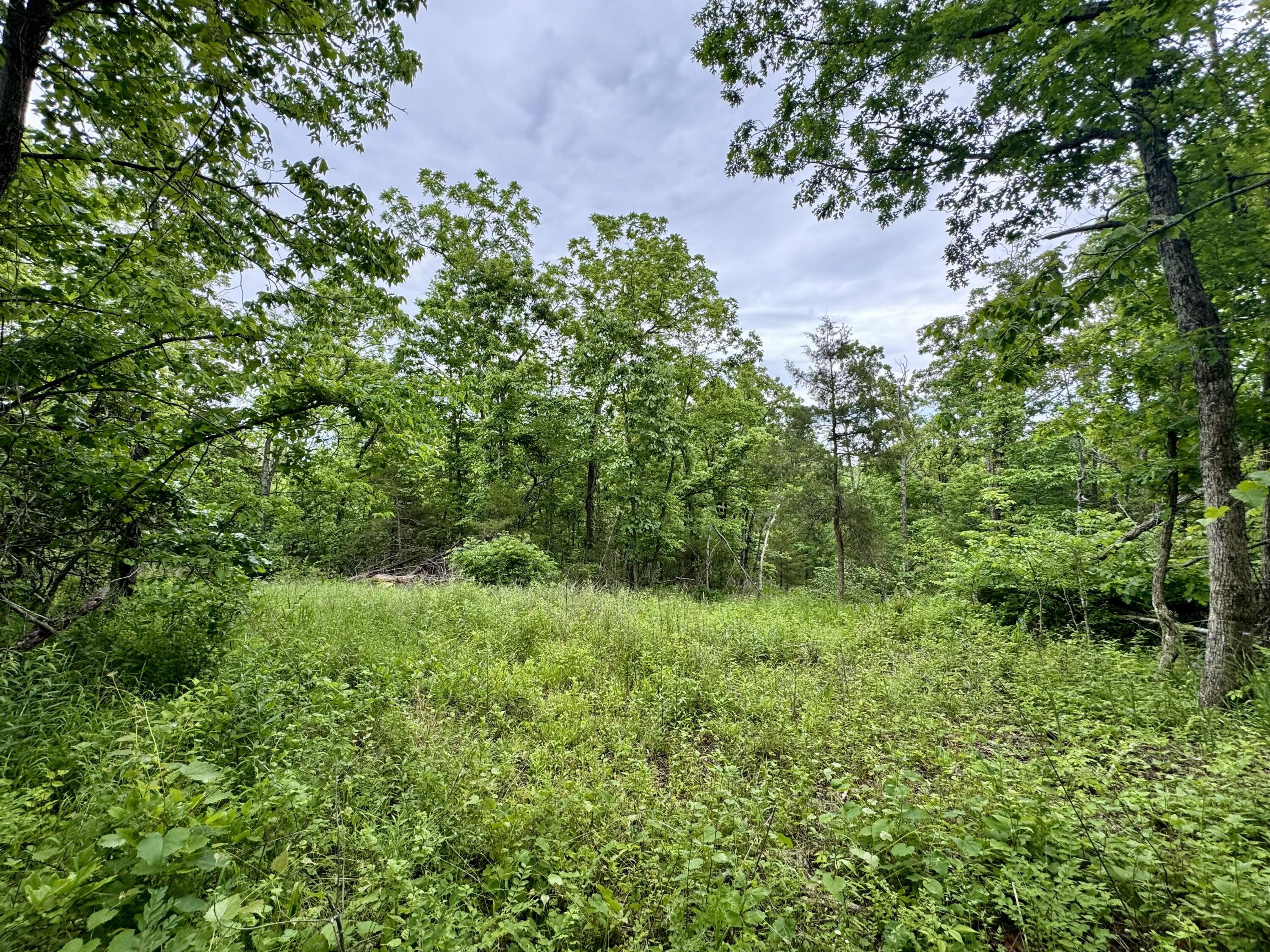000 Cottengim Road Property Photo 14