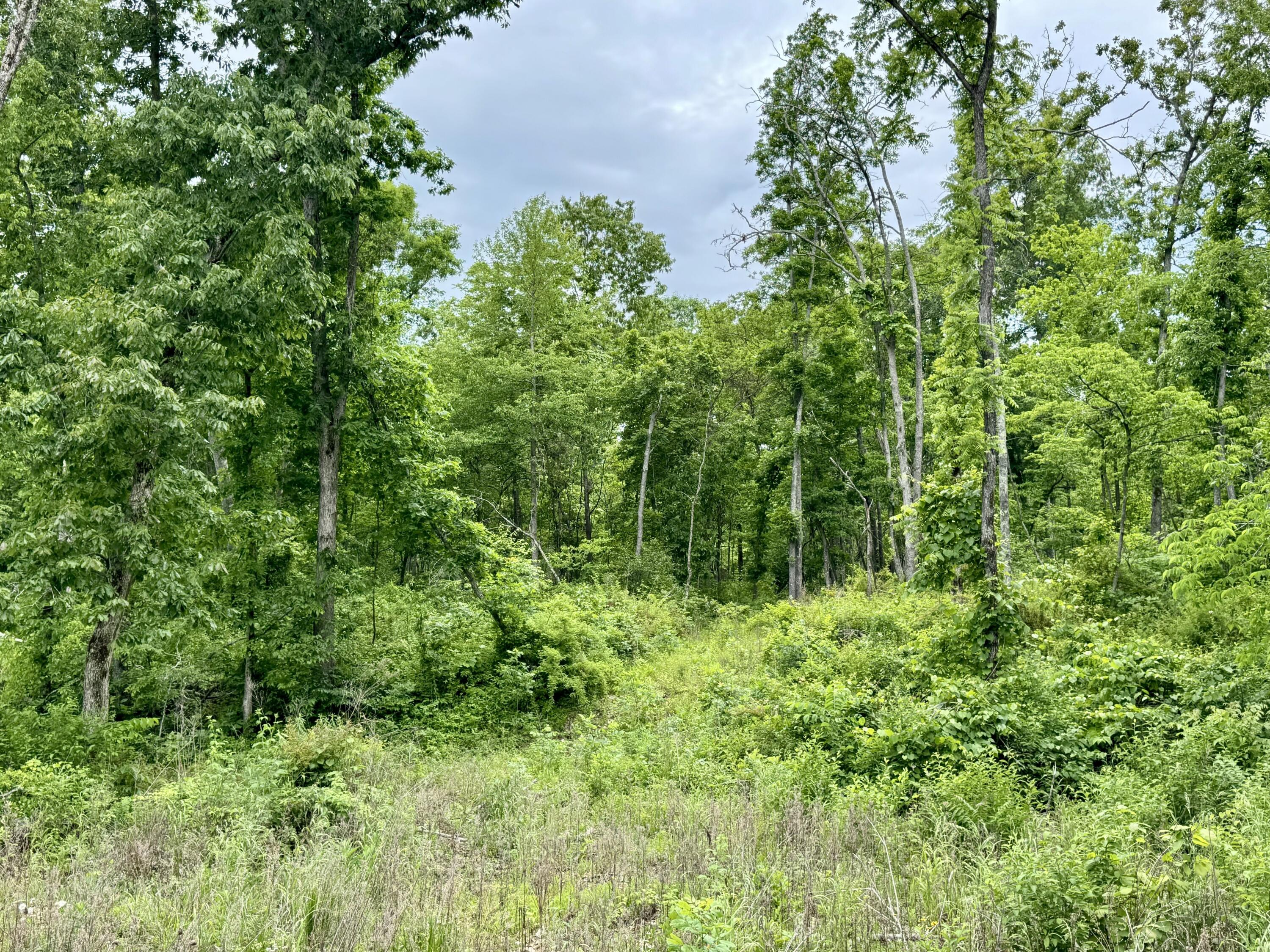 000 Cottengim Road Property Photo 15