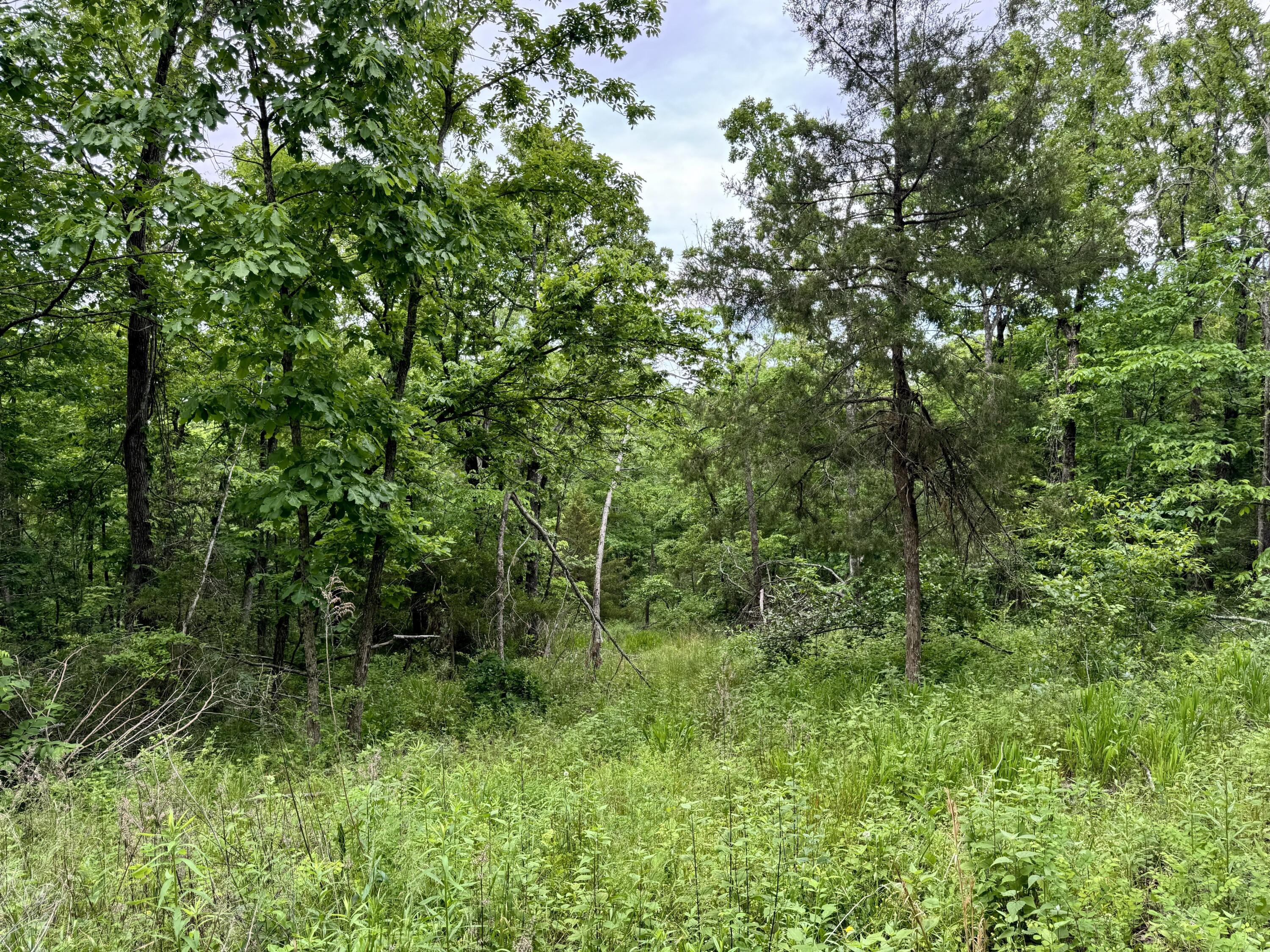 000 Cottengim Road Property Photo 17