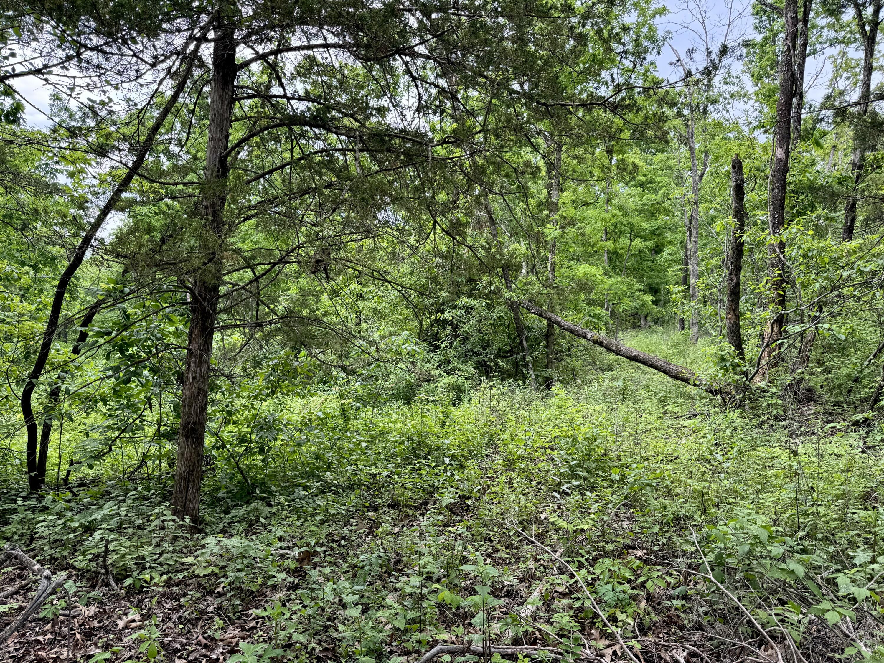 000 Cottengim Road Property Photo 18