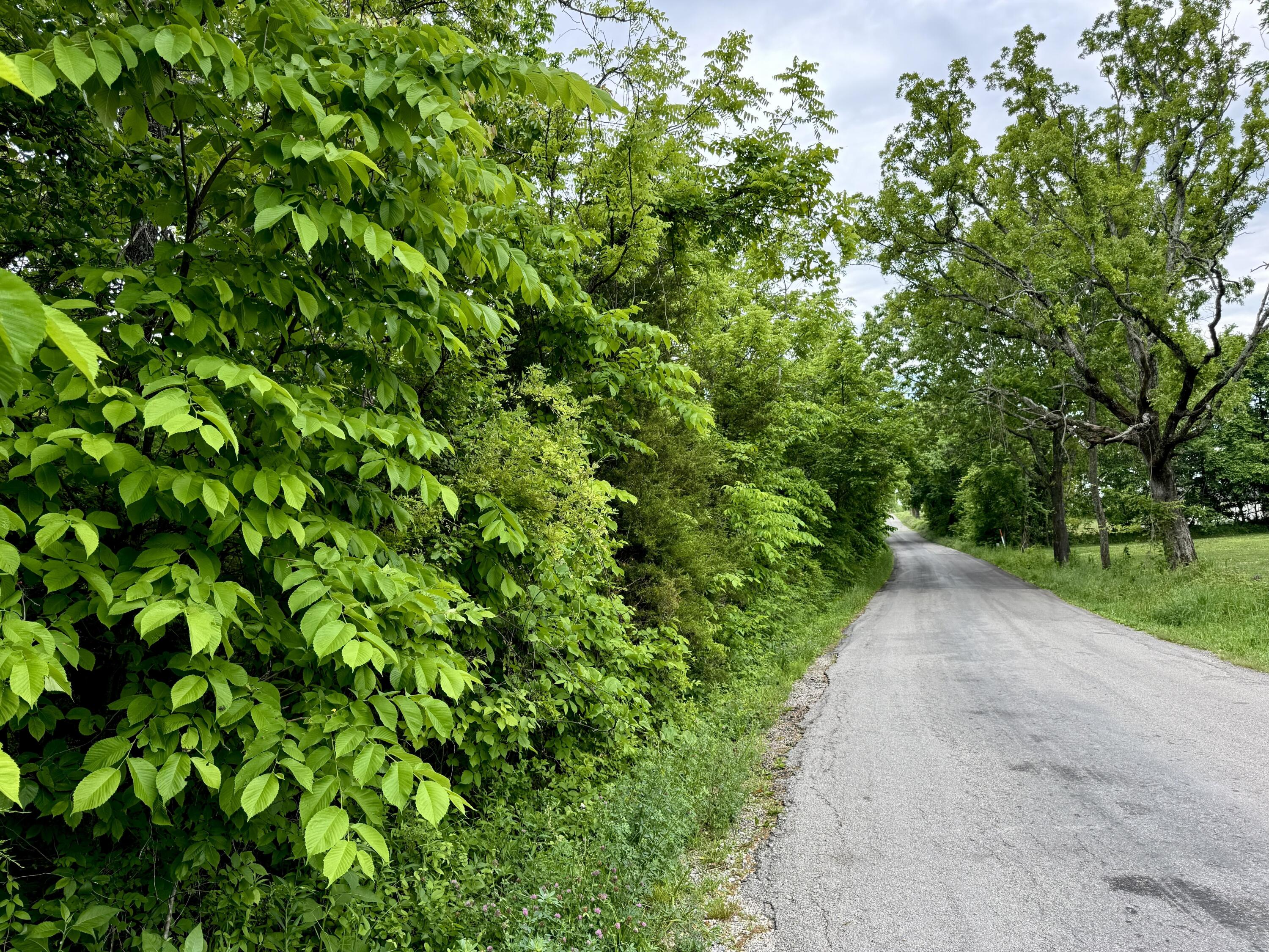 000 Cottengim Road Property Photo 19