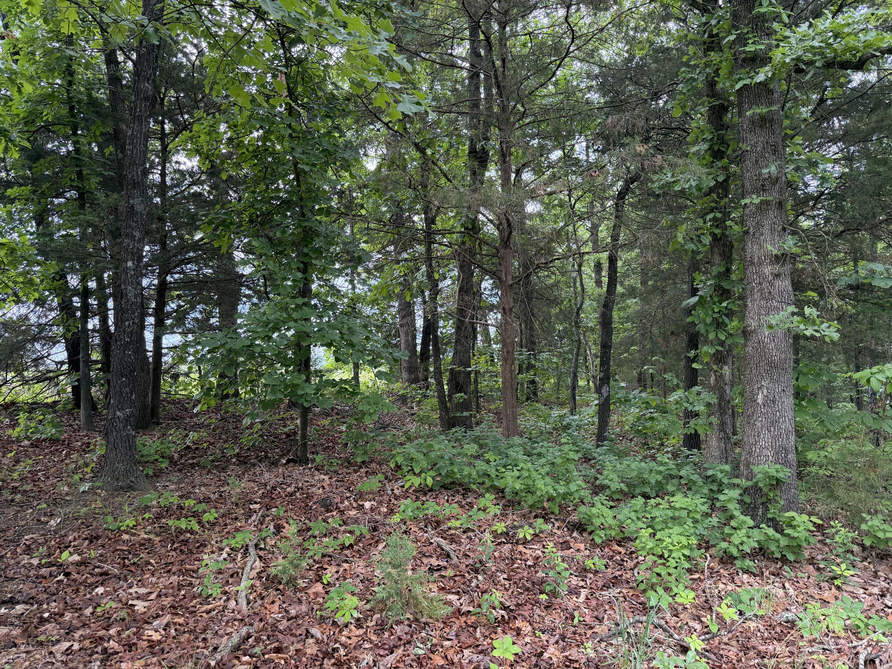 3187 State Highway Hh Property Photo 12