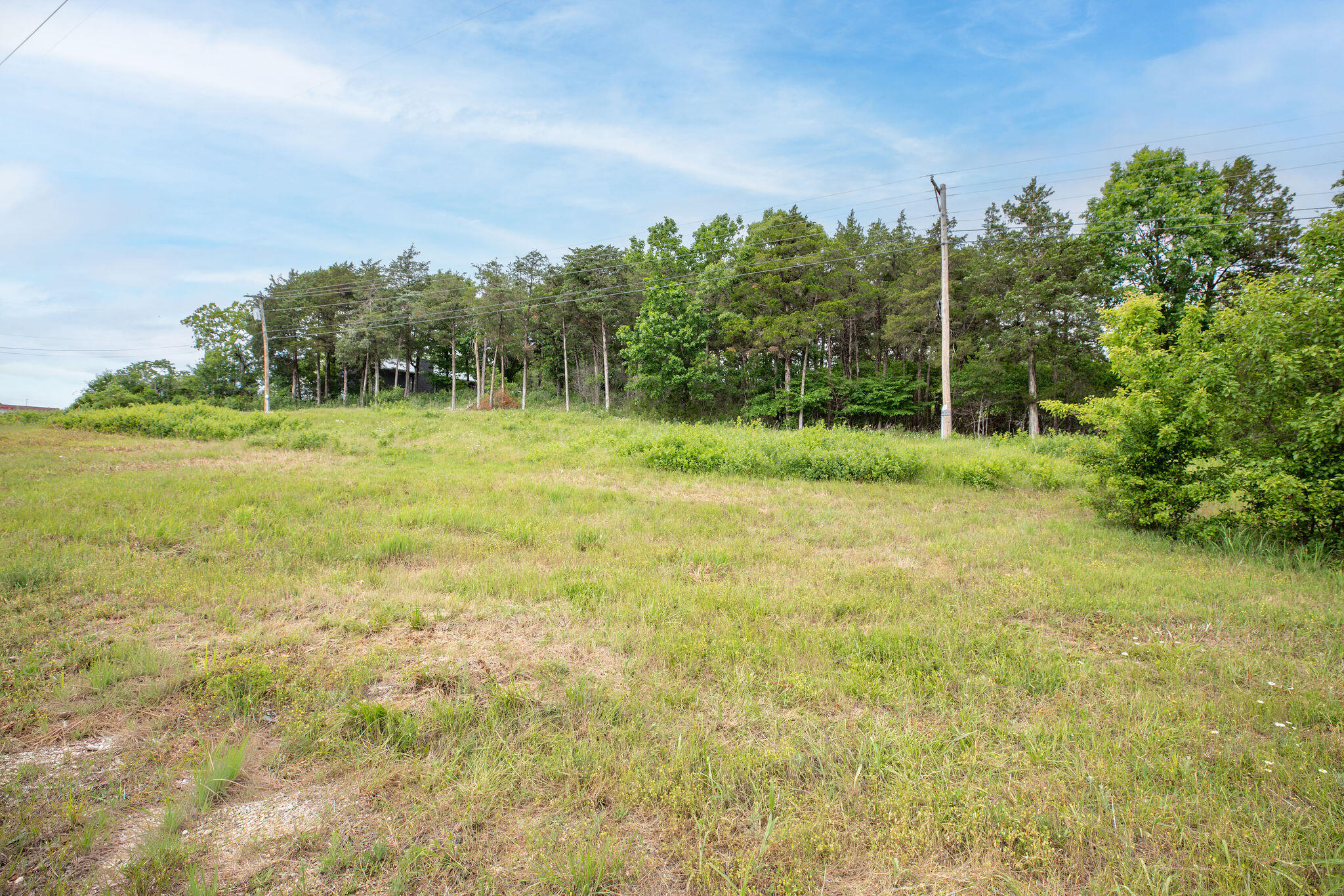 Tbd Bee Creek Road Property Photo 2