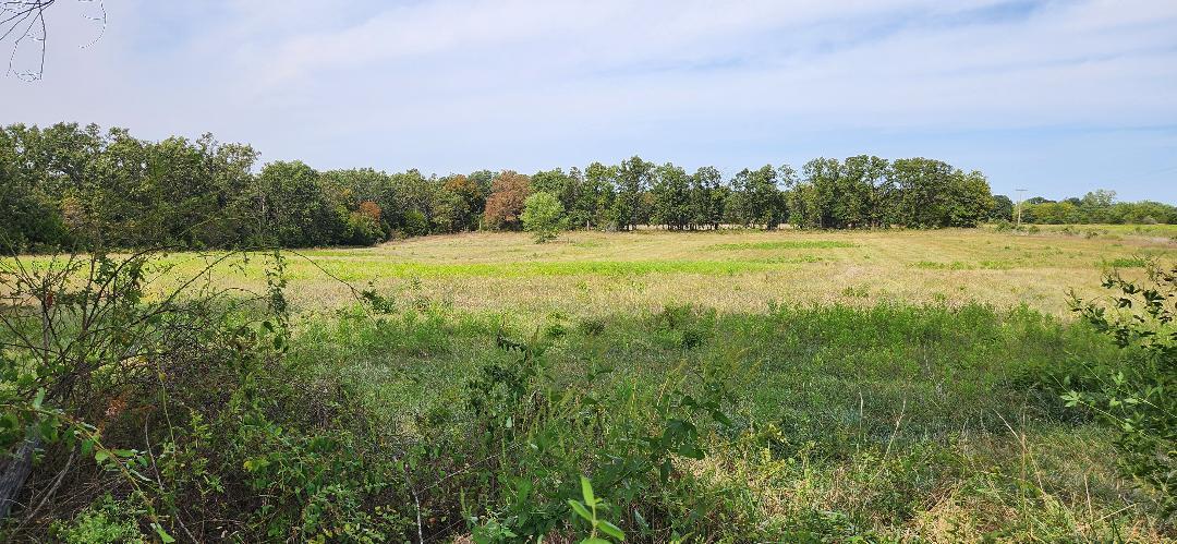 95 Three Springs Loop Property Photo 8