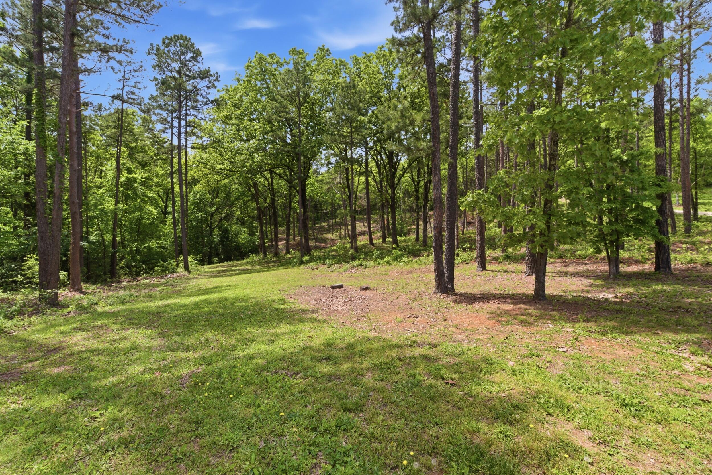 Tract 2 Circle B Road Property Photo 1