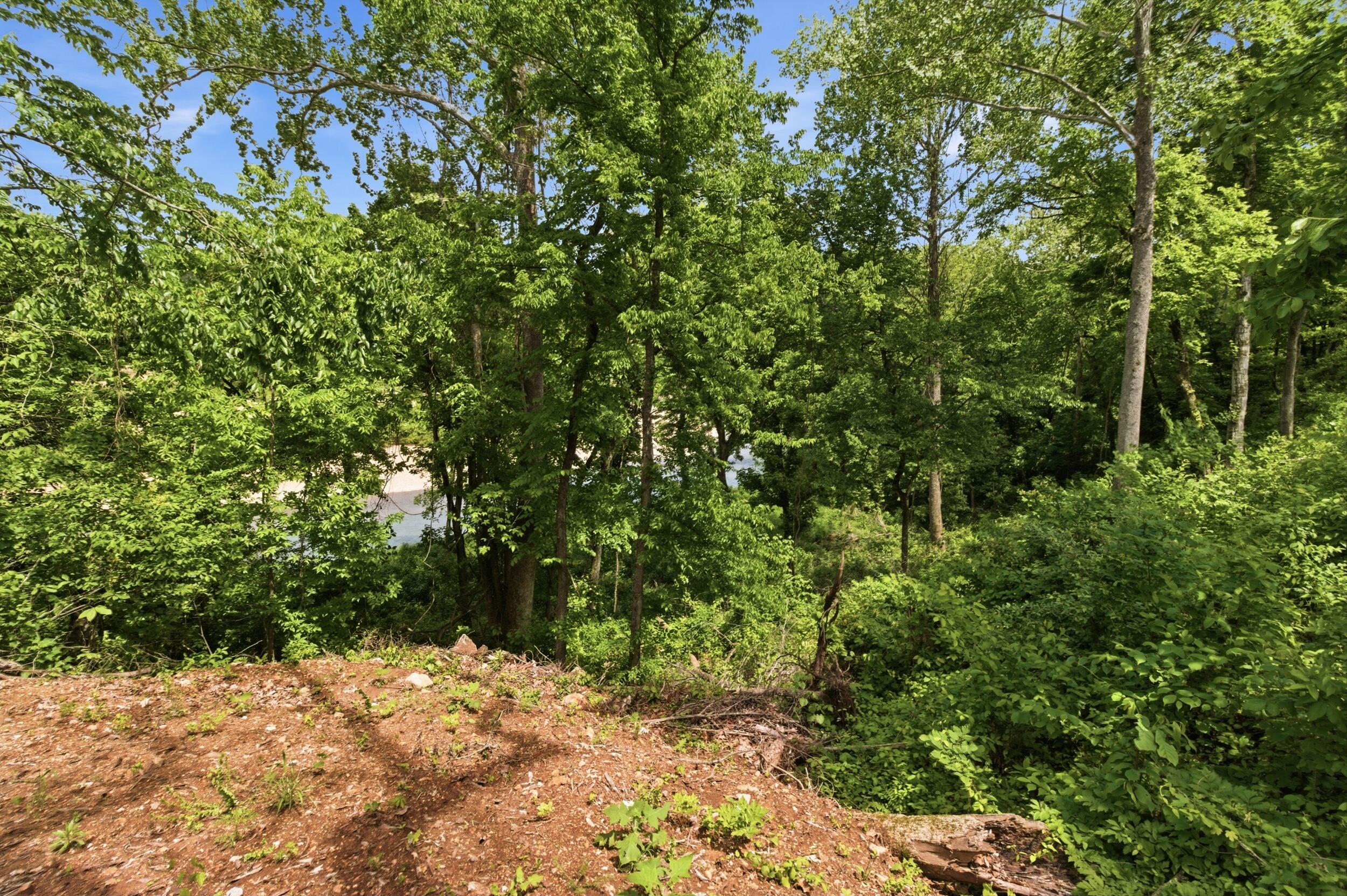 Tract 9 Circle B Road Property Photo 8