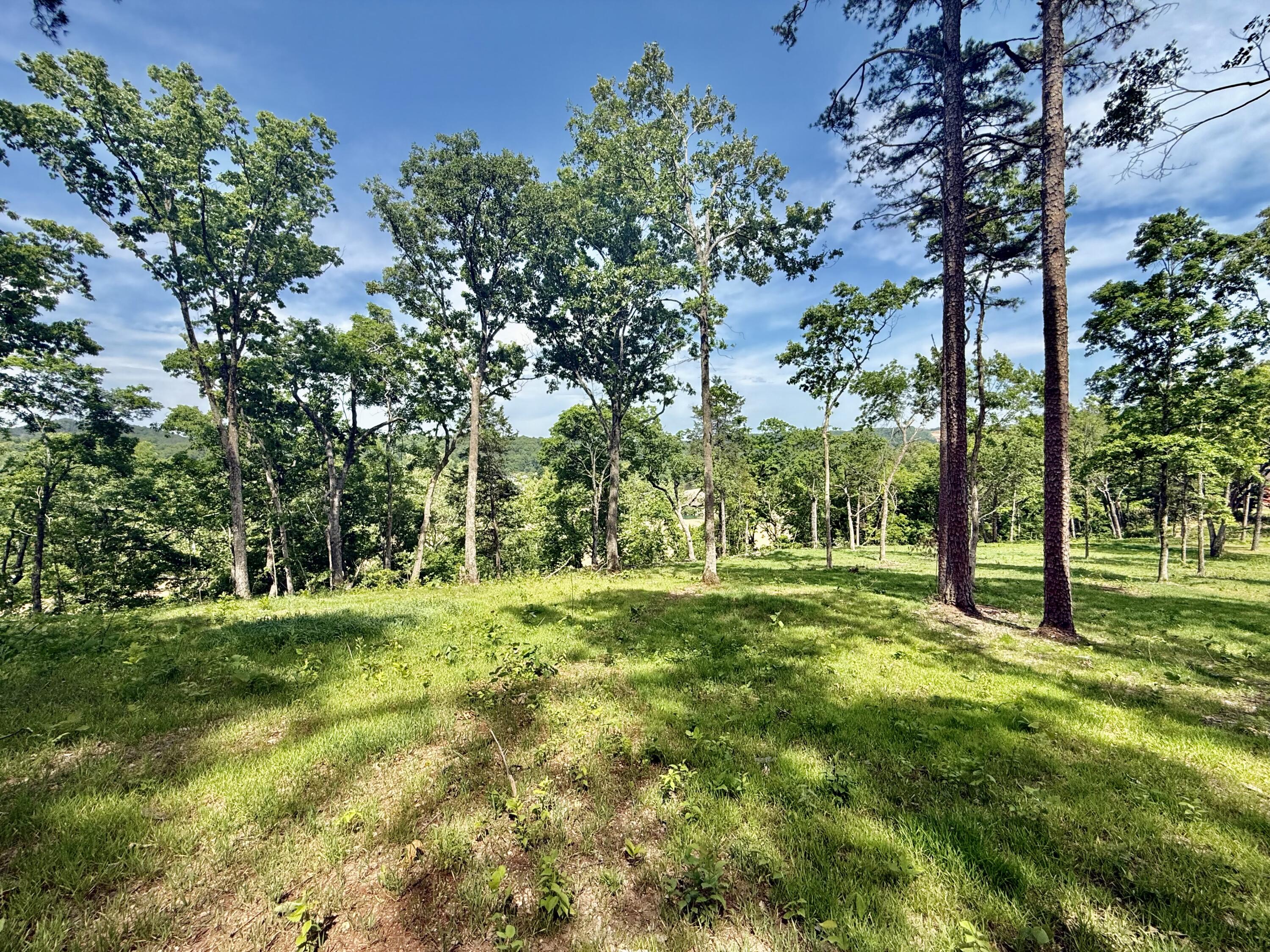 Tract 9 Circle B Road Property Photo 14