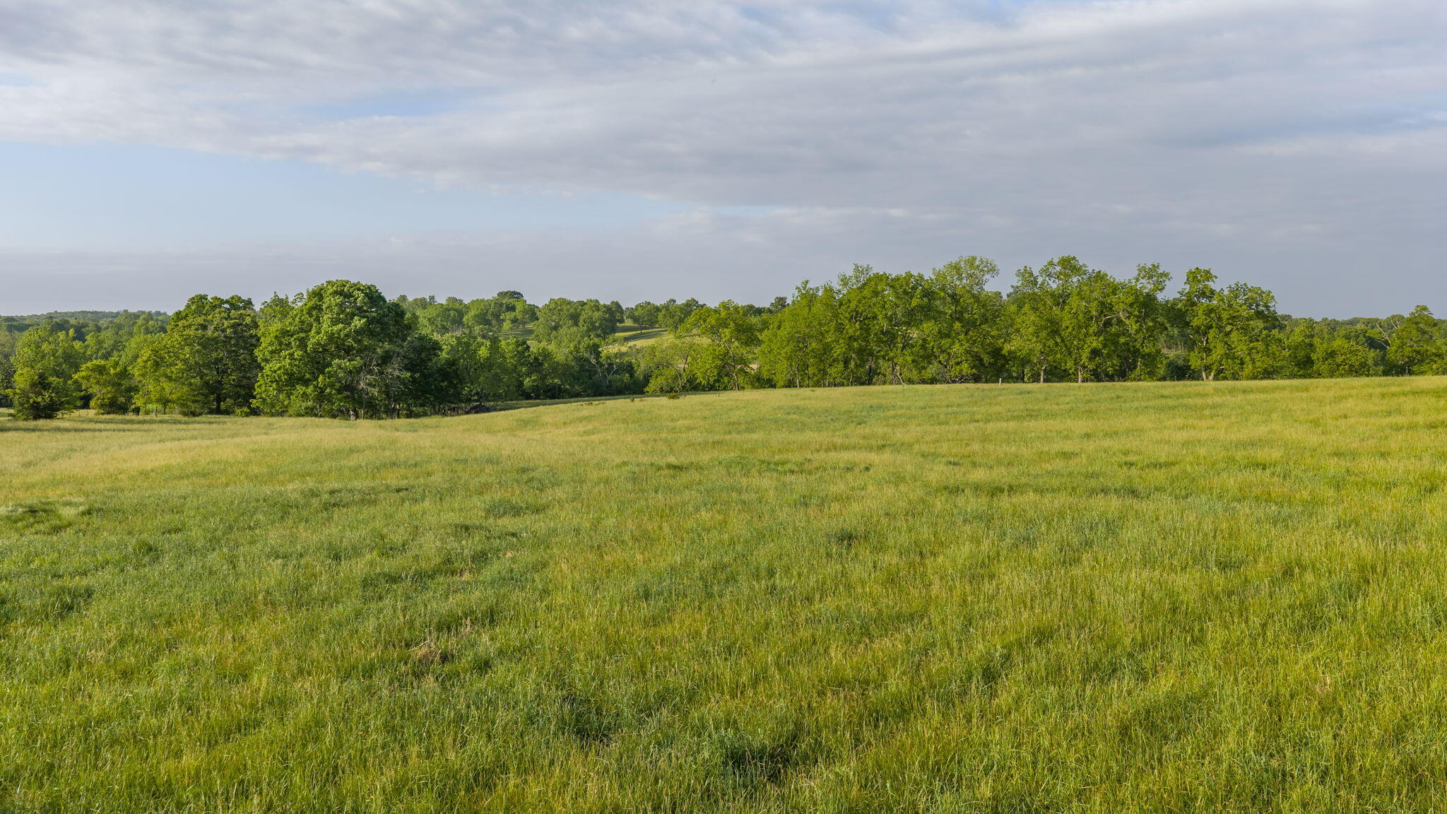 12770 Co 500 Property Photo 59