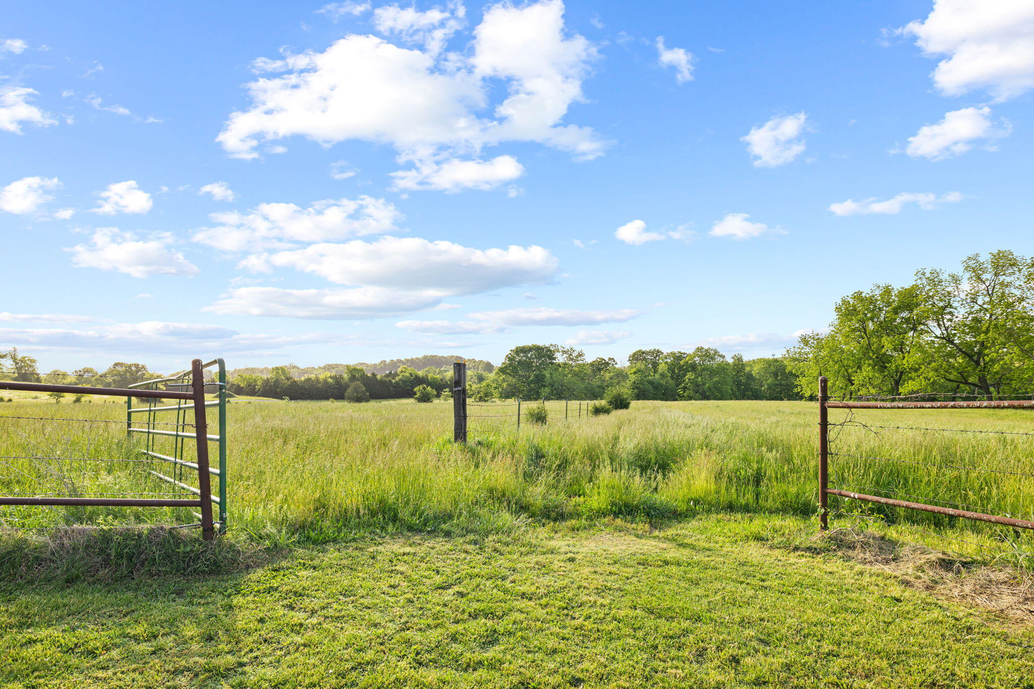 12770 Co 500 Property Photo 62