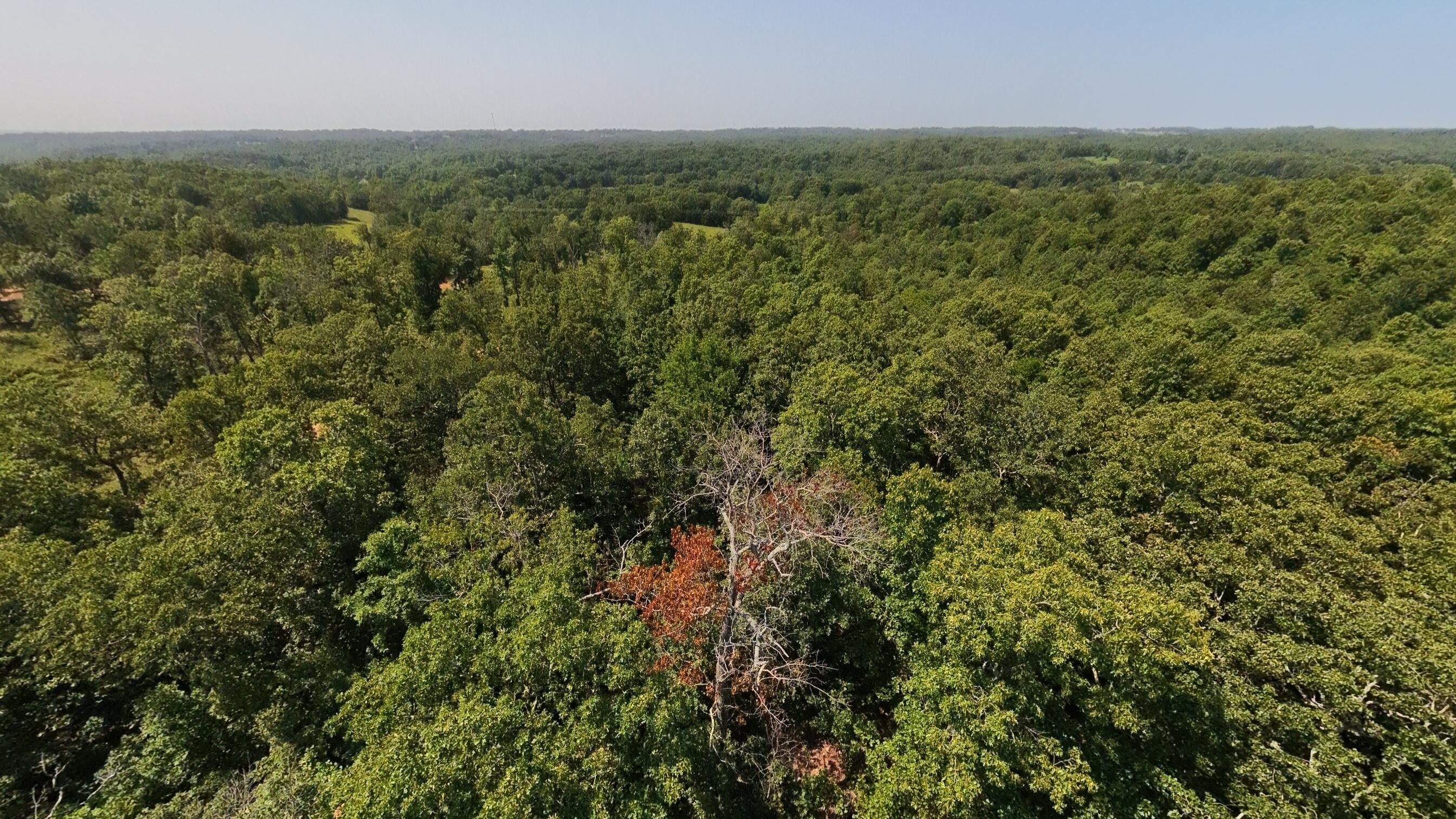 000 Z Highway Property Photo 5