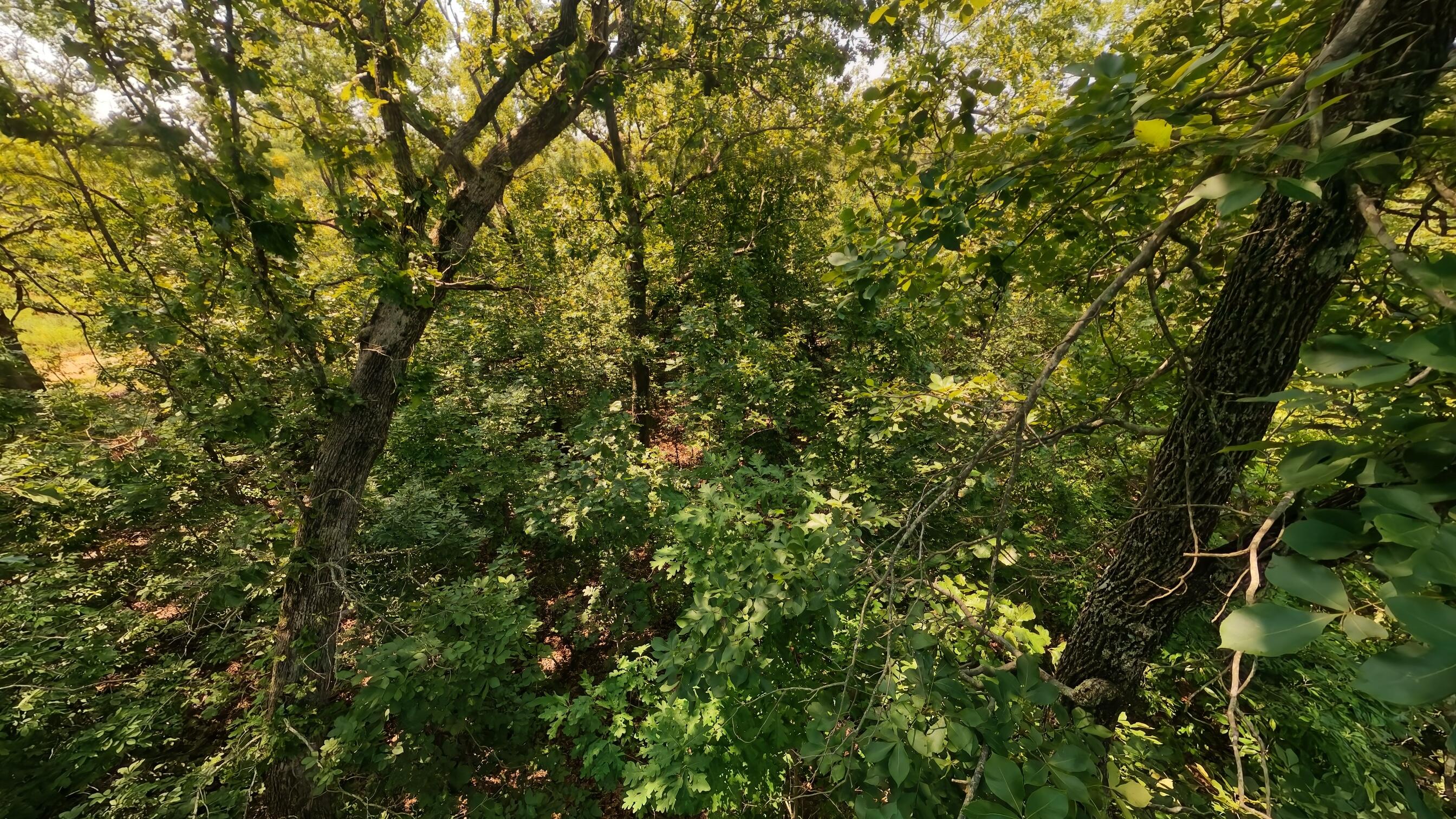 000 Z Highway Property Photo 7