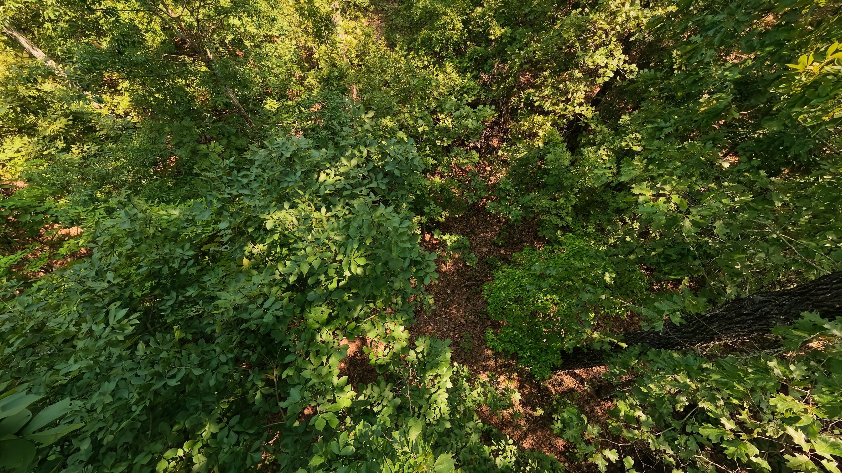 000 Z Highway Property Photo 8