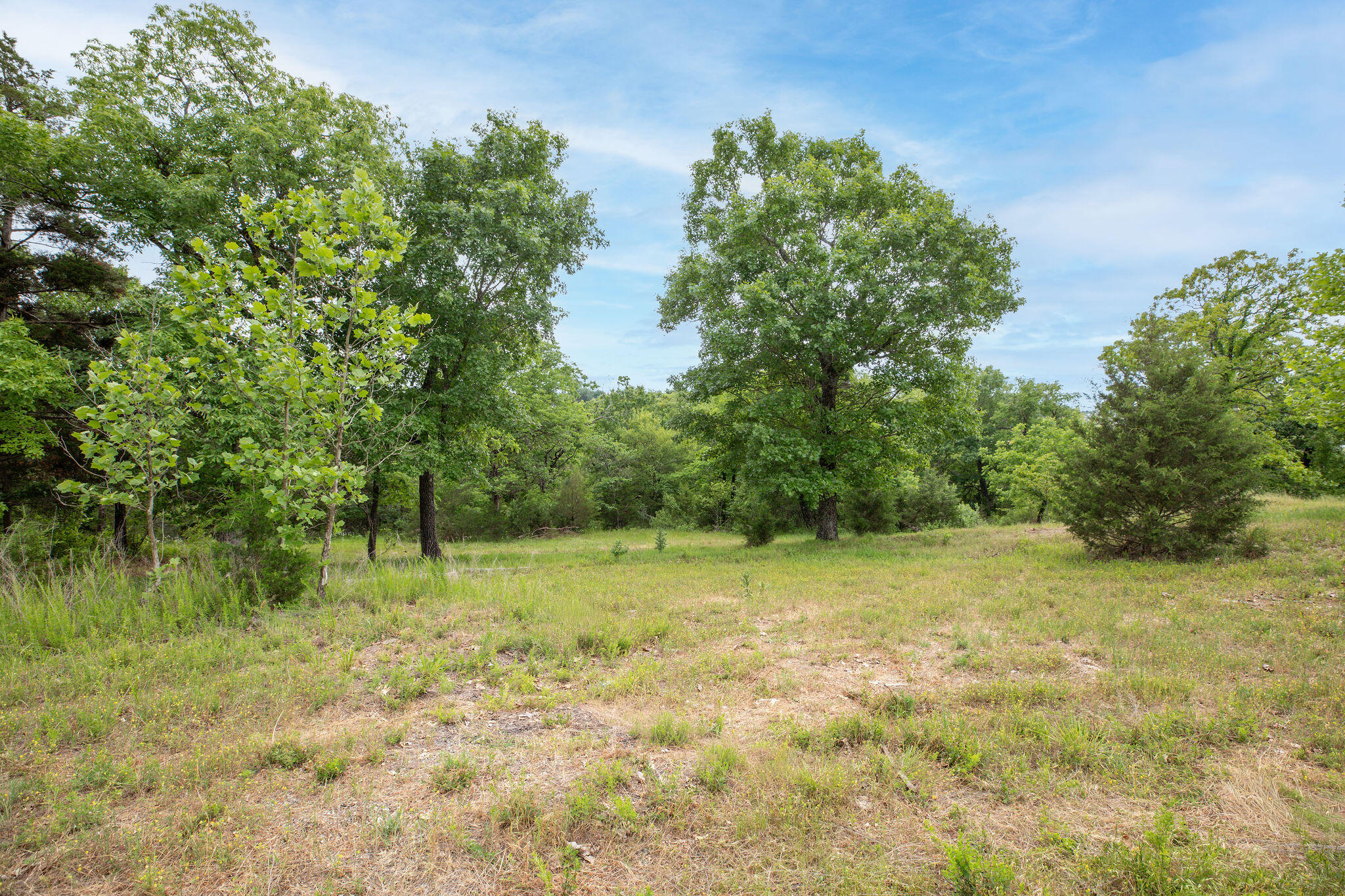 285 & Tbd Bee Creek Road Property Photo 6