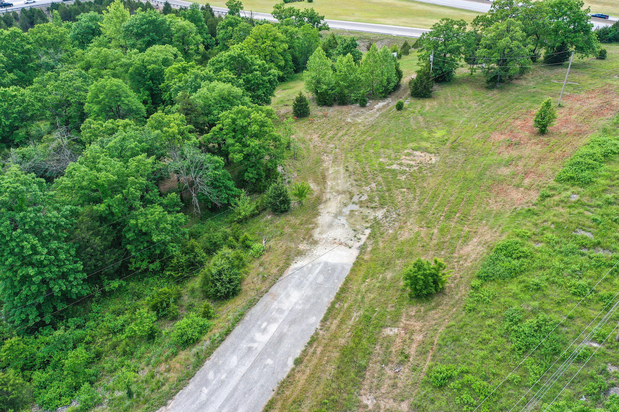 285 & Tbd Bee Creek Road Property Photo 10