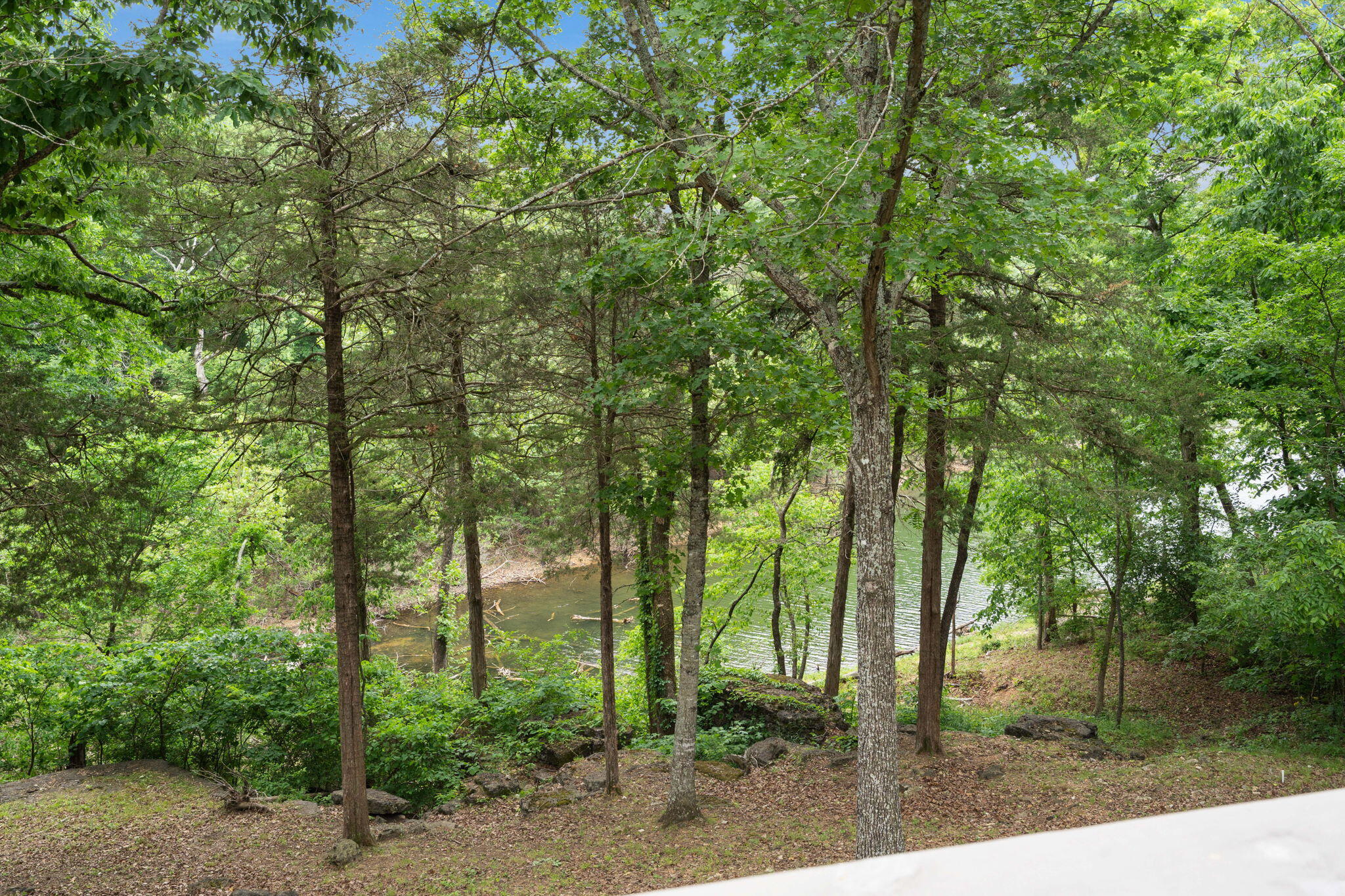 27278 Timber Springs Road Property Photo 11