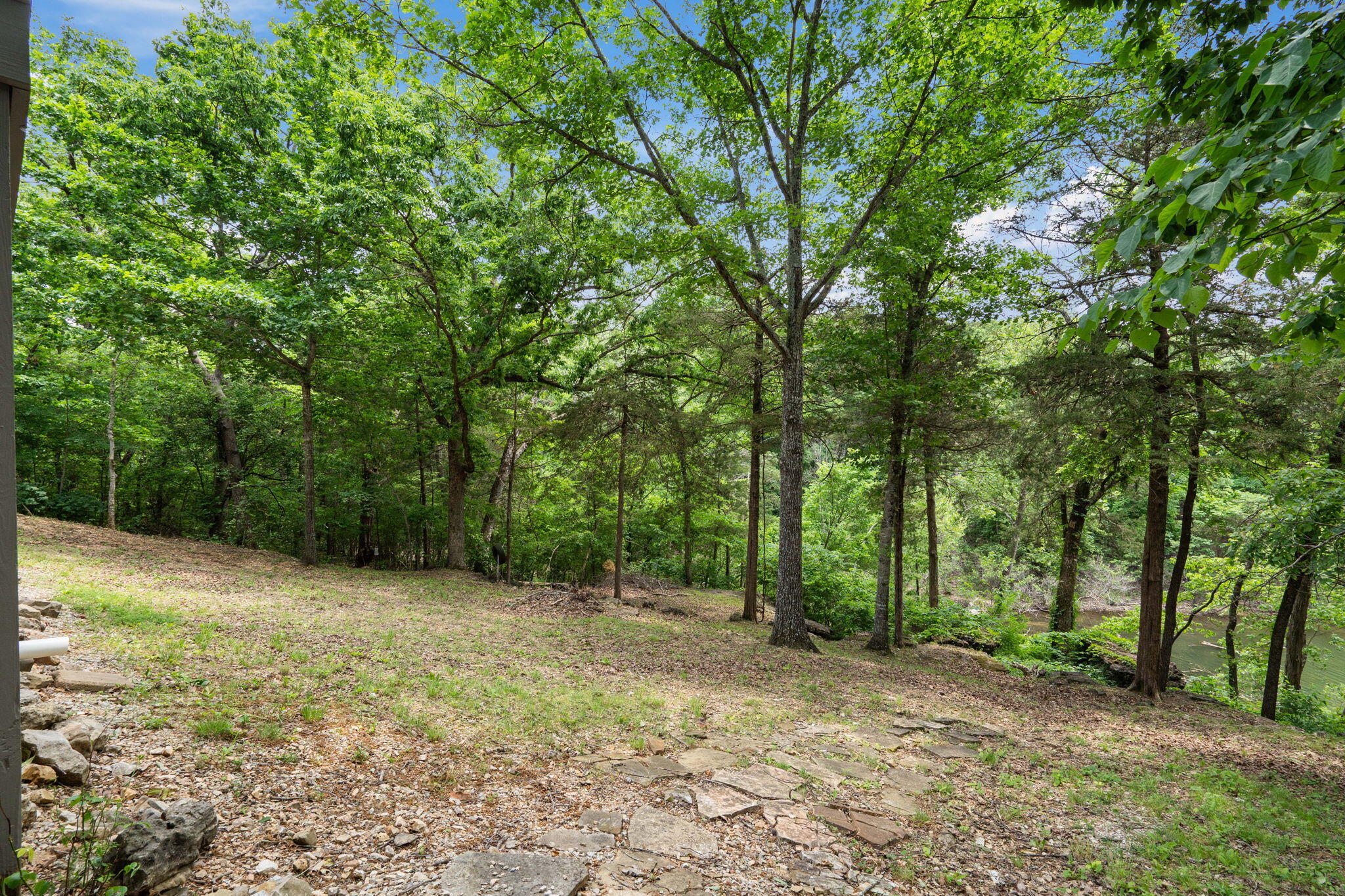 27278 Timber Springs Road Property Photo 15
