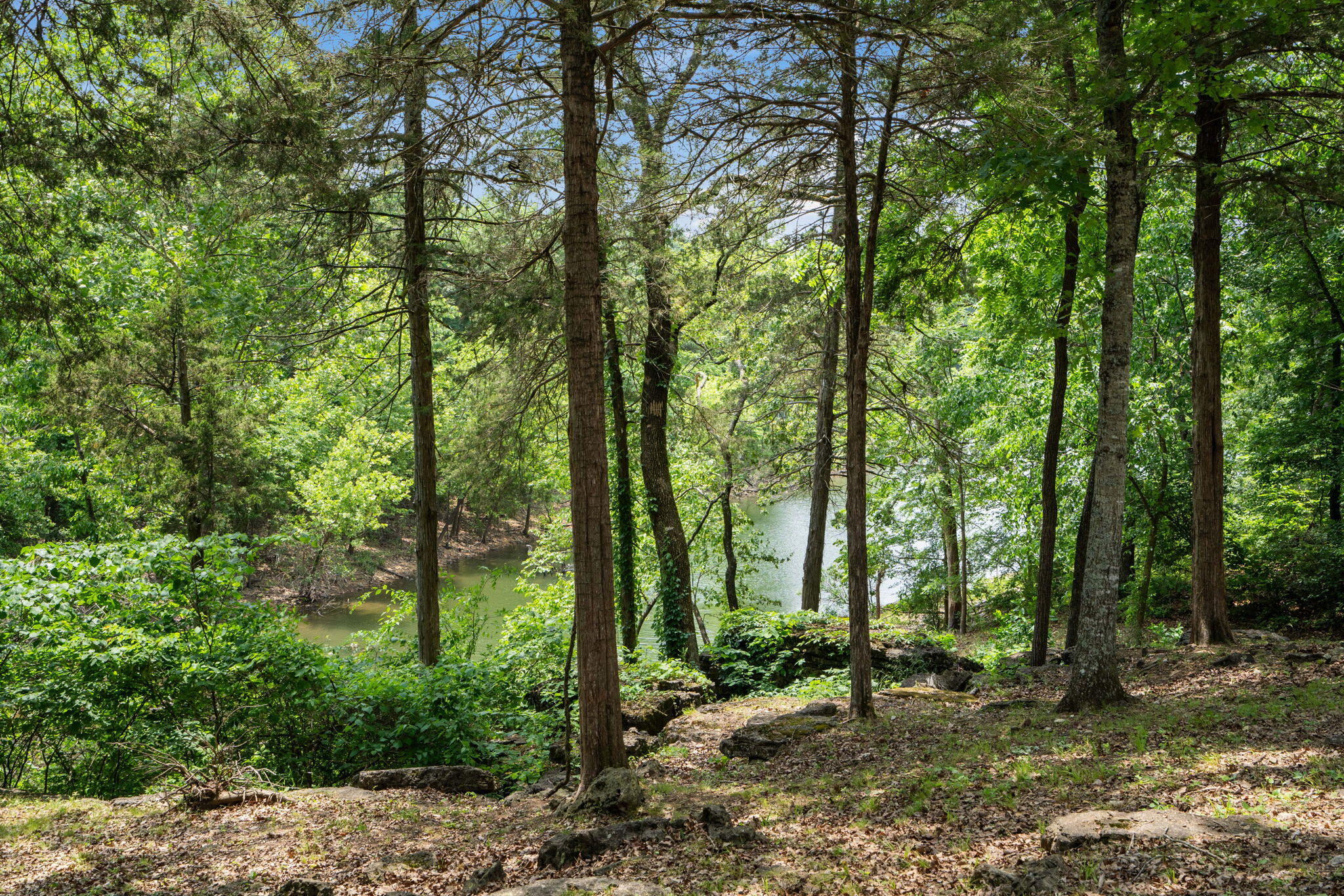 27278 Timber Springs Road Property Photo 19