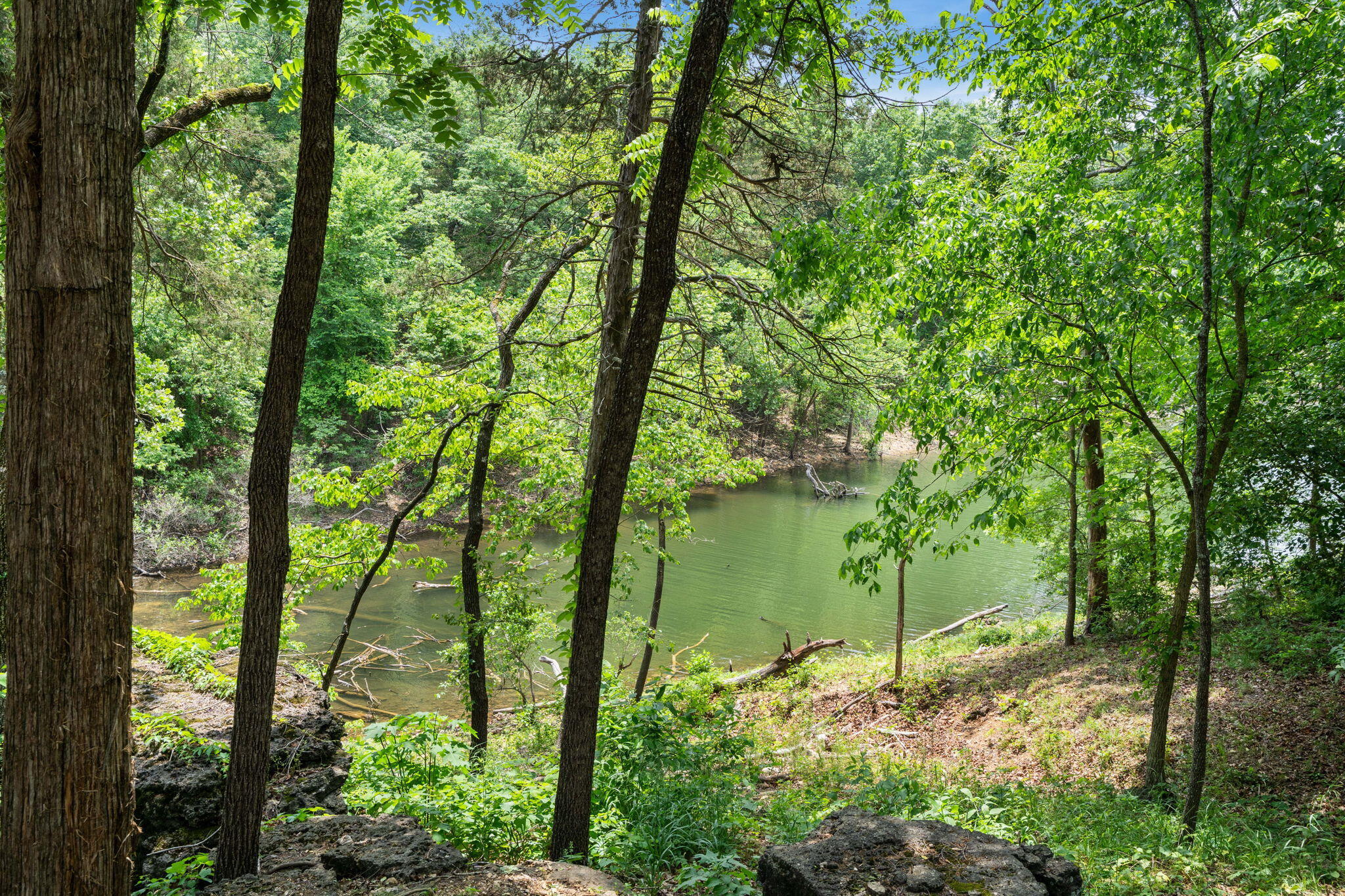 27278 Timber Springs Road Property Photo 20