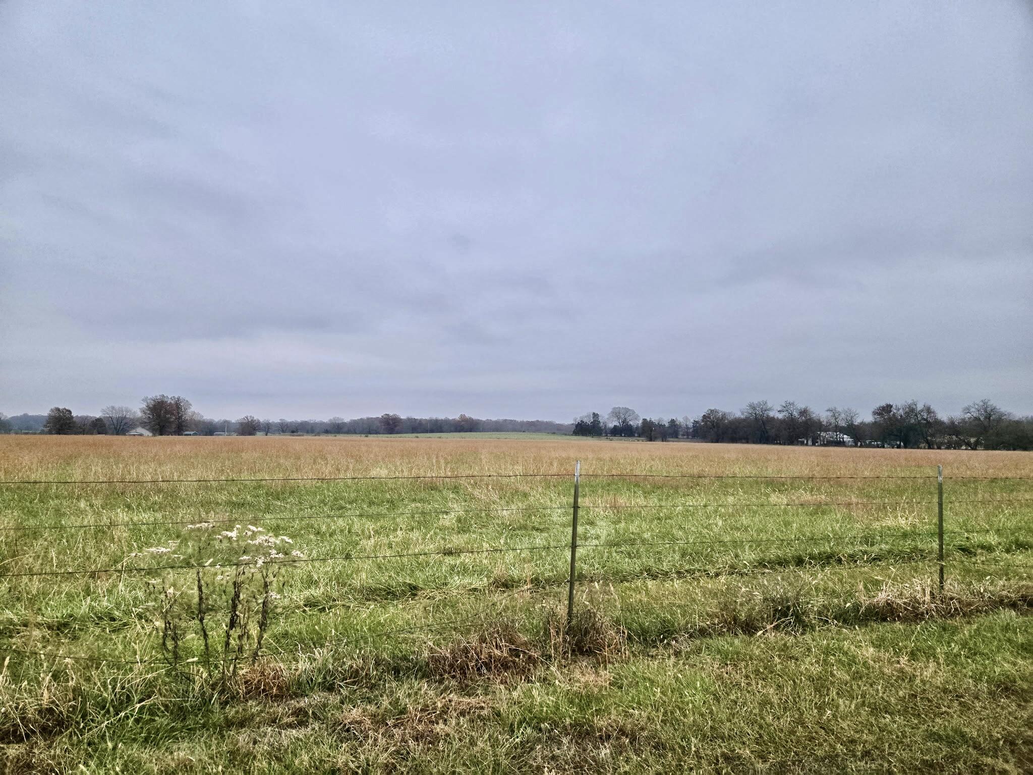 000 County Road 220 Property Photo 1
