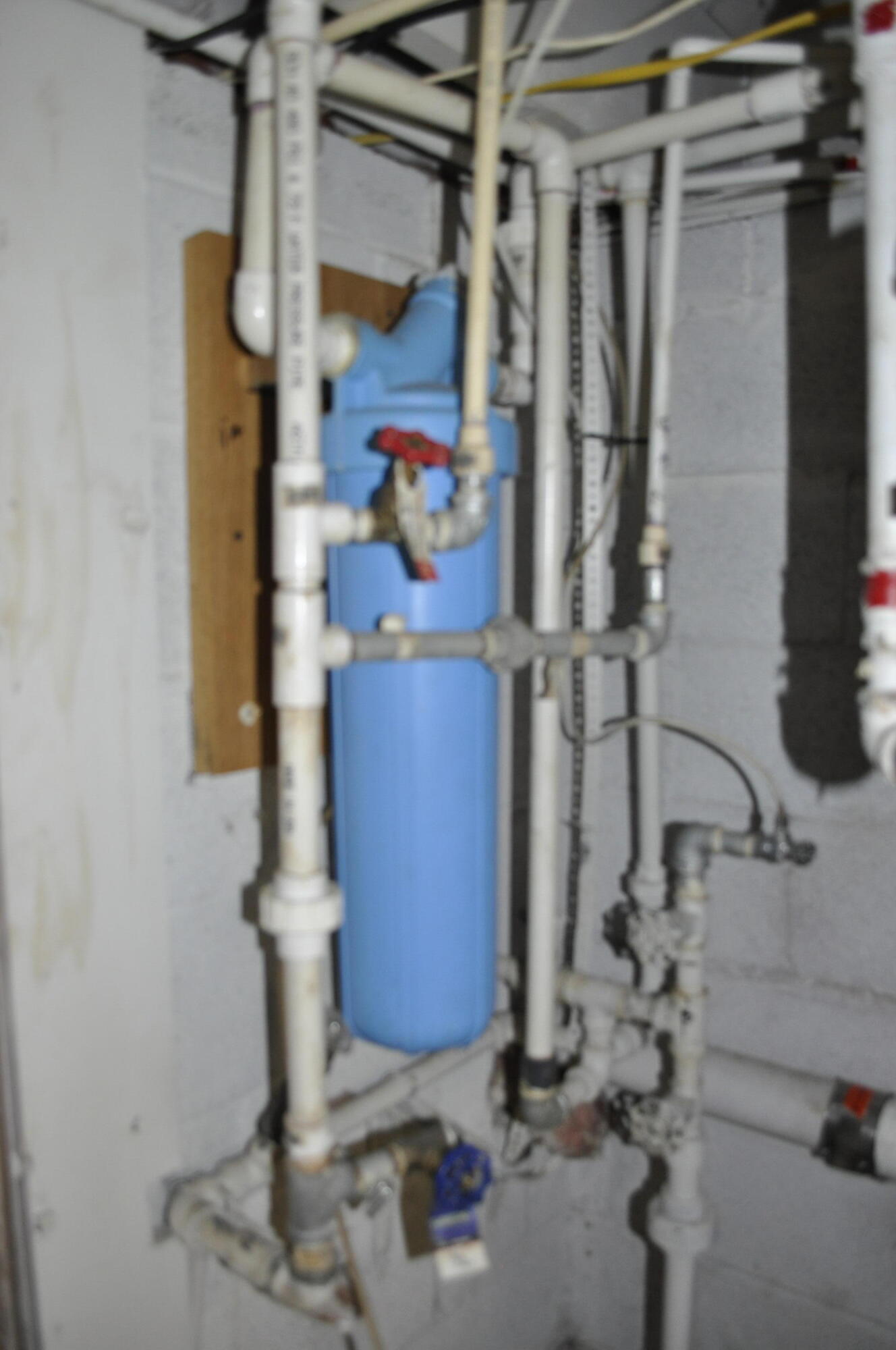 203 East College Street Property Photo 28