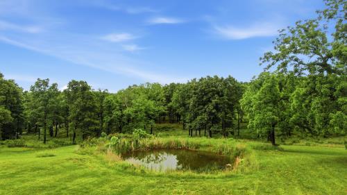 2104 State Highway F Property Photo 44