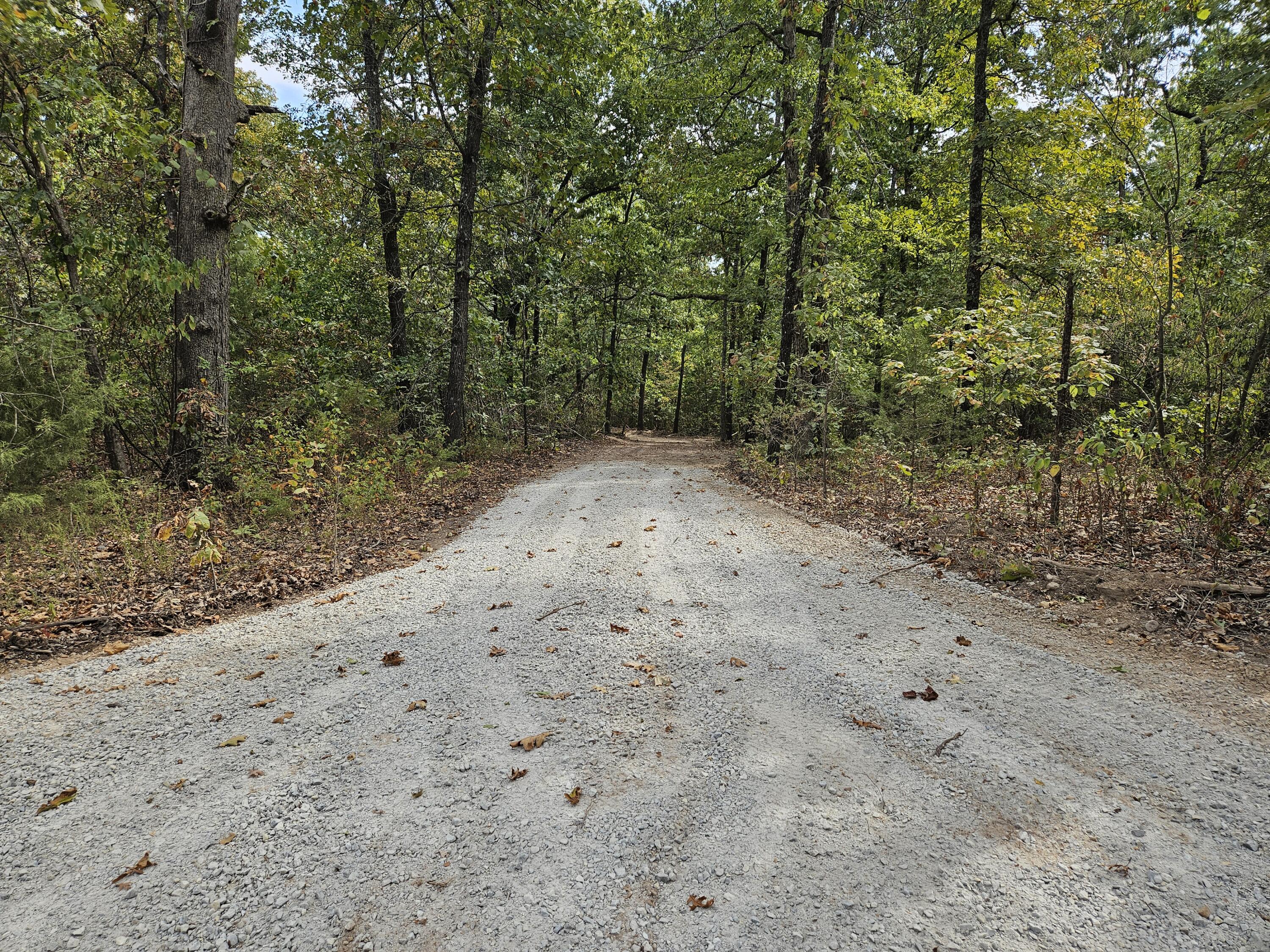 000 Co Rd 521 Tract 5 Property Photo 1