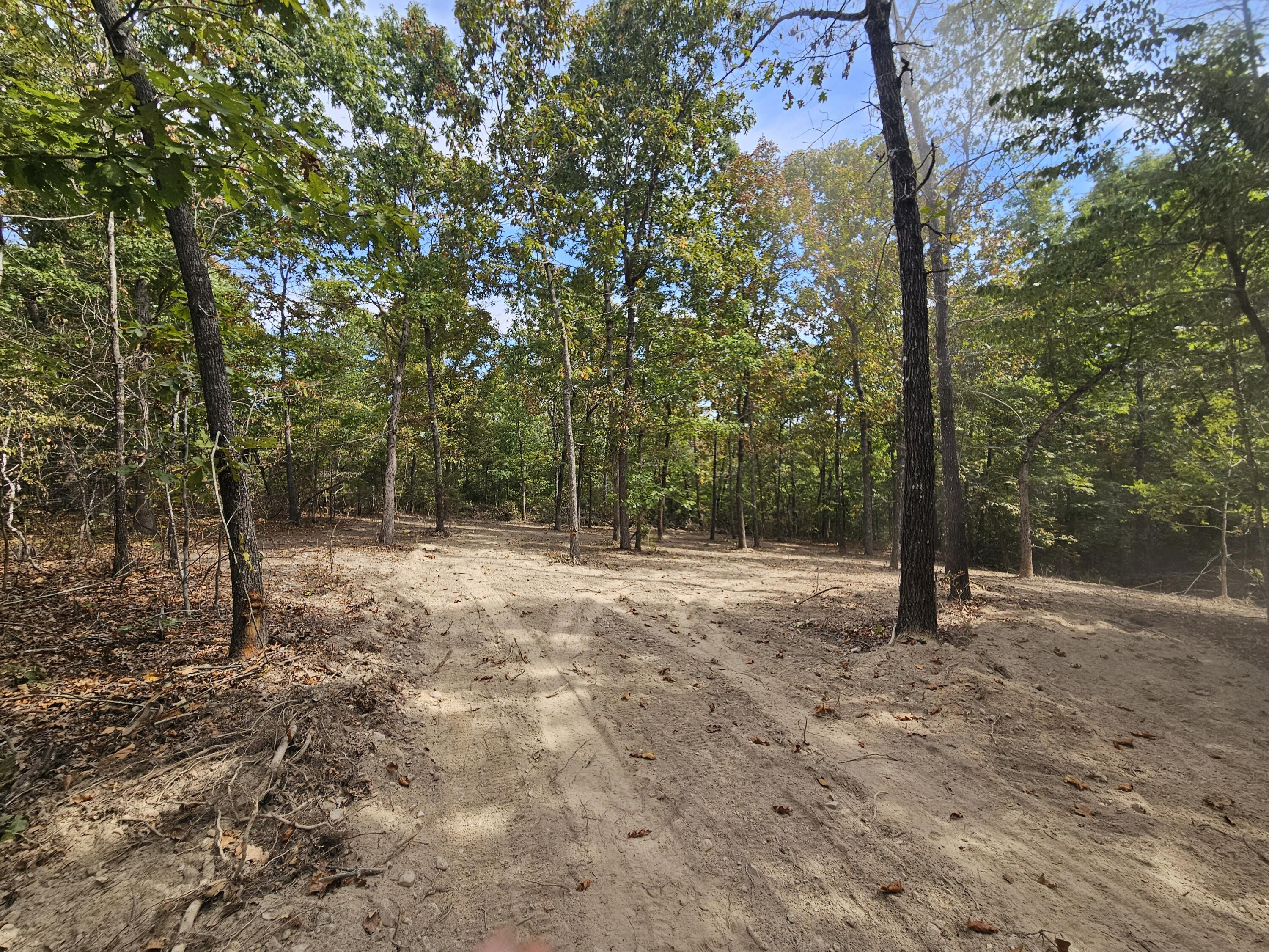 000 Co Rd 521 Tract 5 Property Photo 2