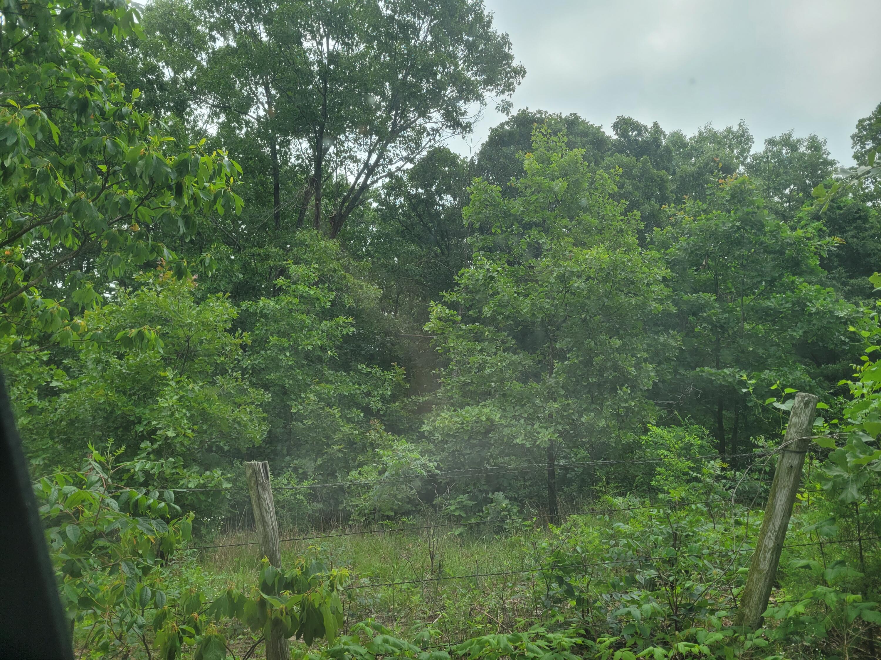 Tbd N-325 Property Photo 2