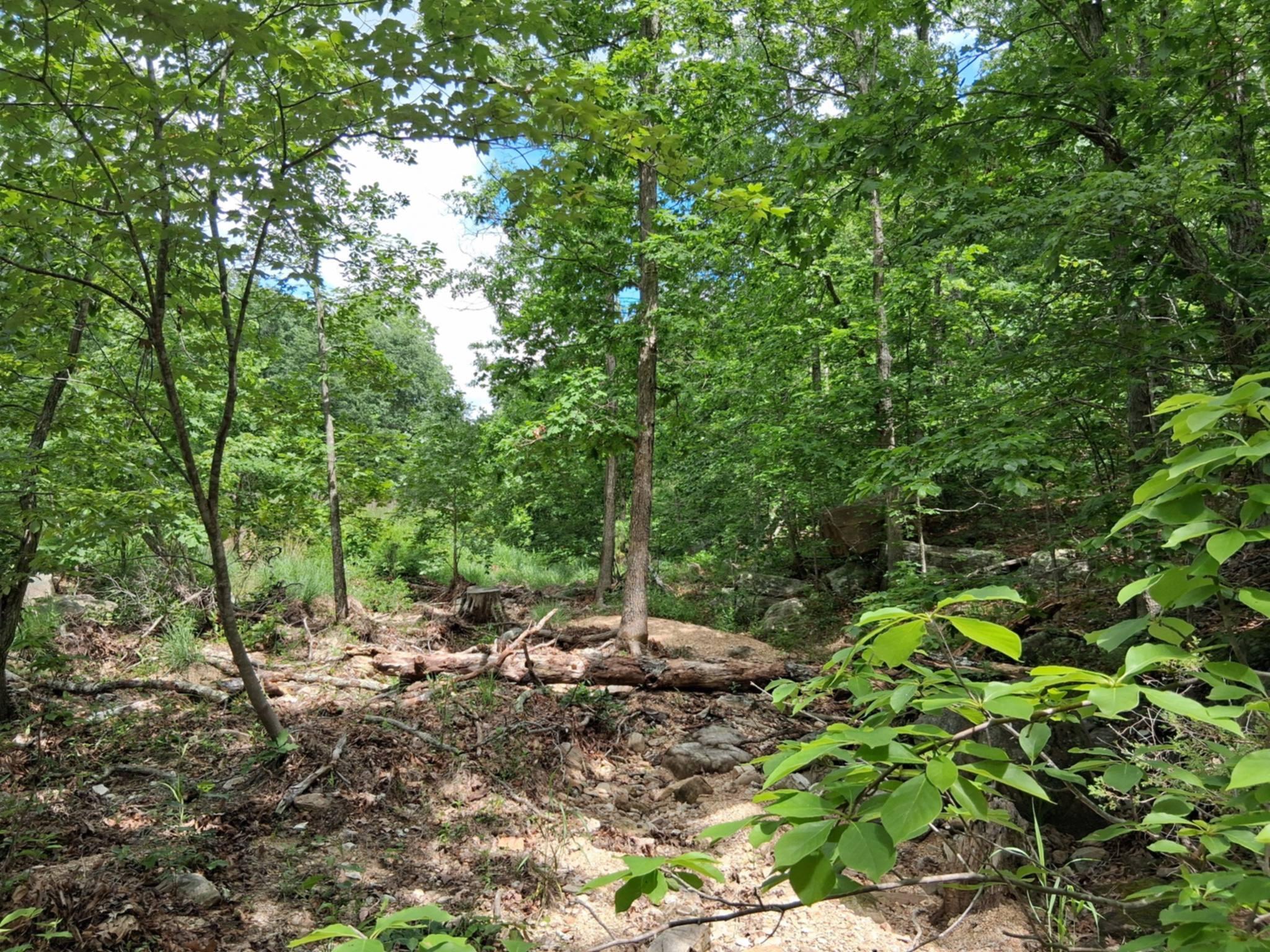 Tbd Golden Drive Property Photo 7