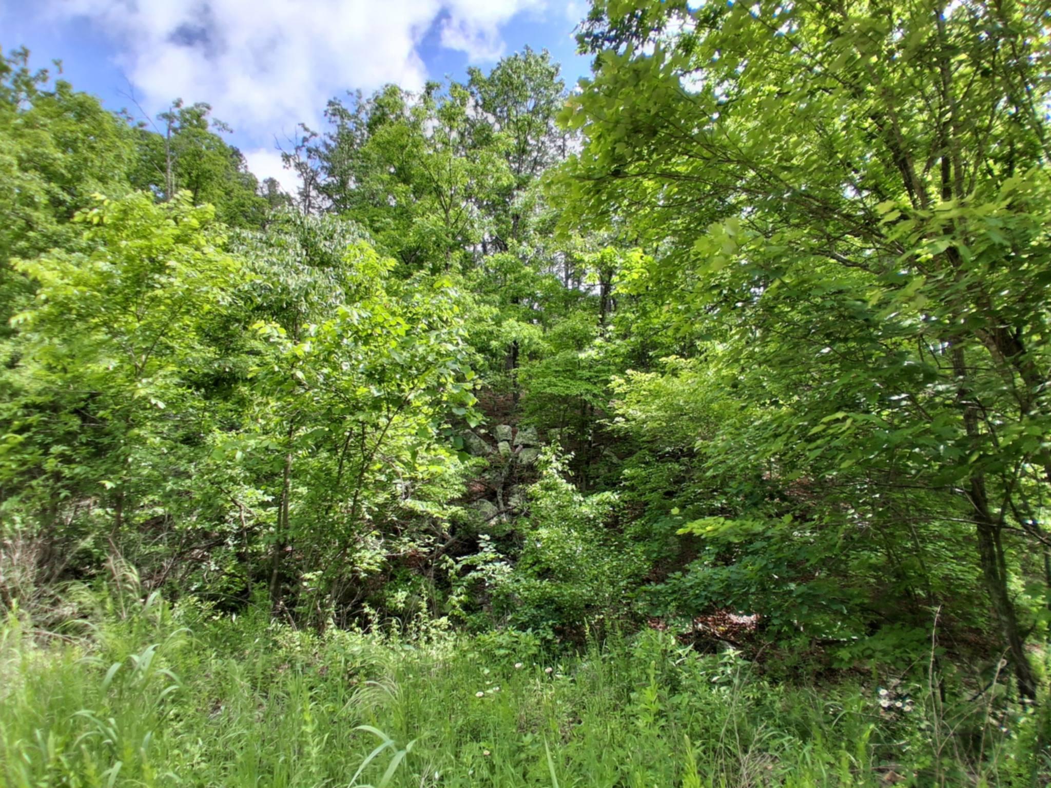 Tbd Golden Drive Property Photo 11