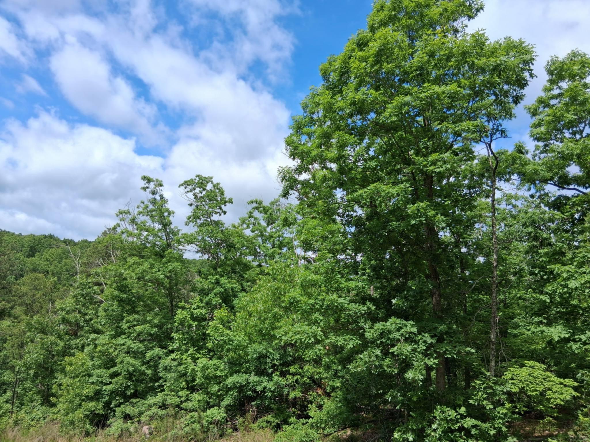 Tbd Golden Drive Property Photo 15