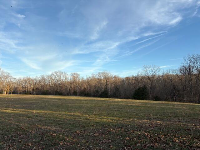 001 State Hwy O Property Photo 5