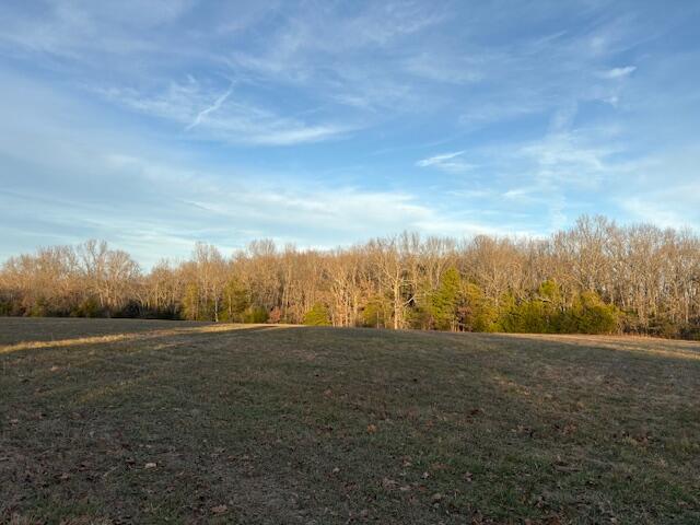 001 State Hwy O Property Photo 7