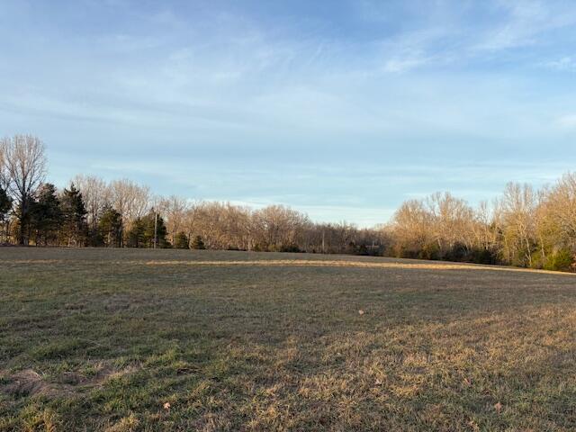 001 State Hwy O Property Photo 8