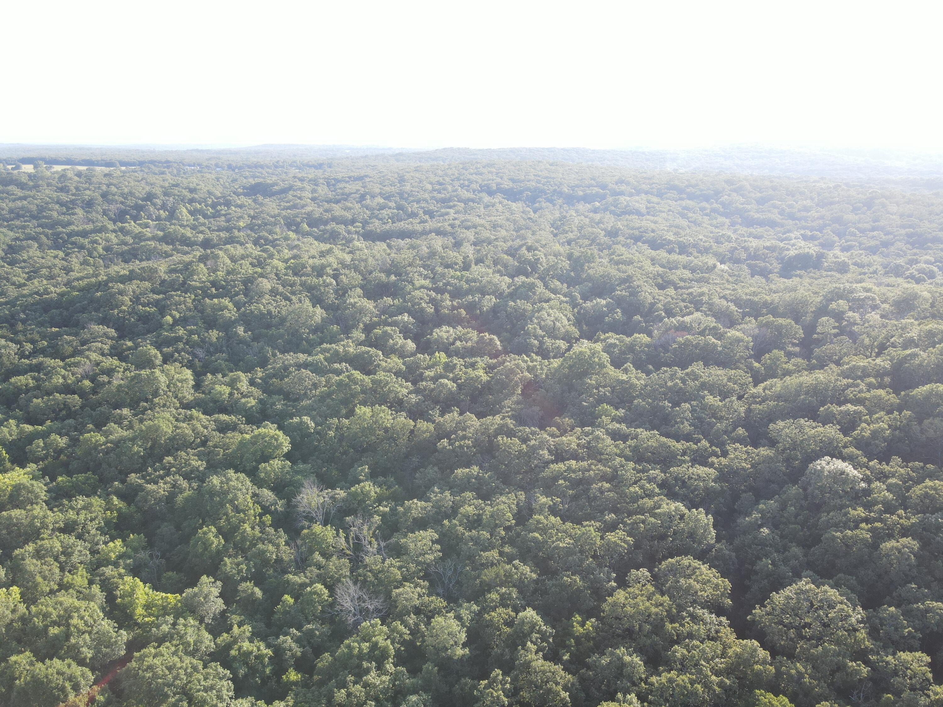 000 South Highway J Property Photo 15